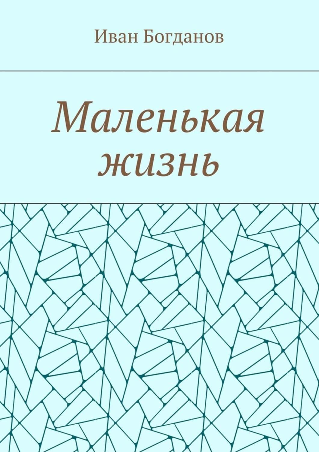 Обложка книги «Маленькая жизнь»