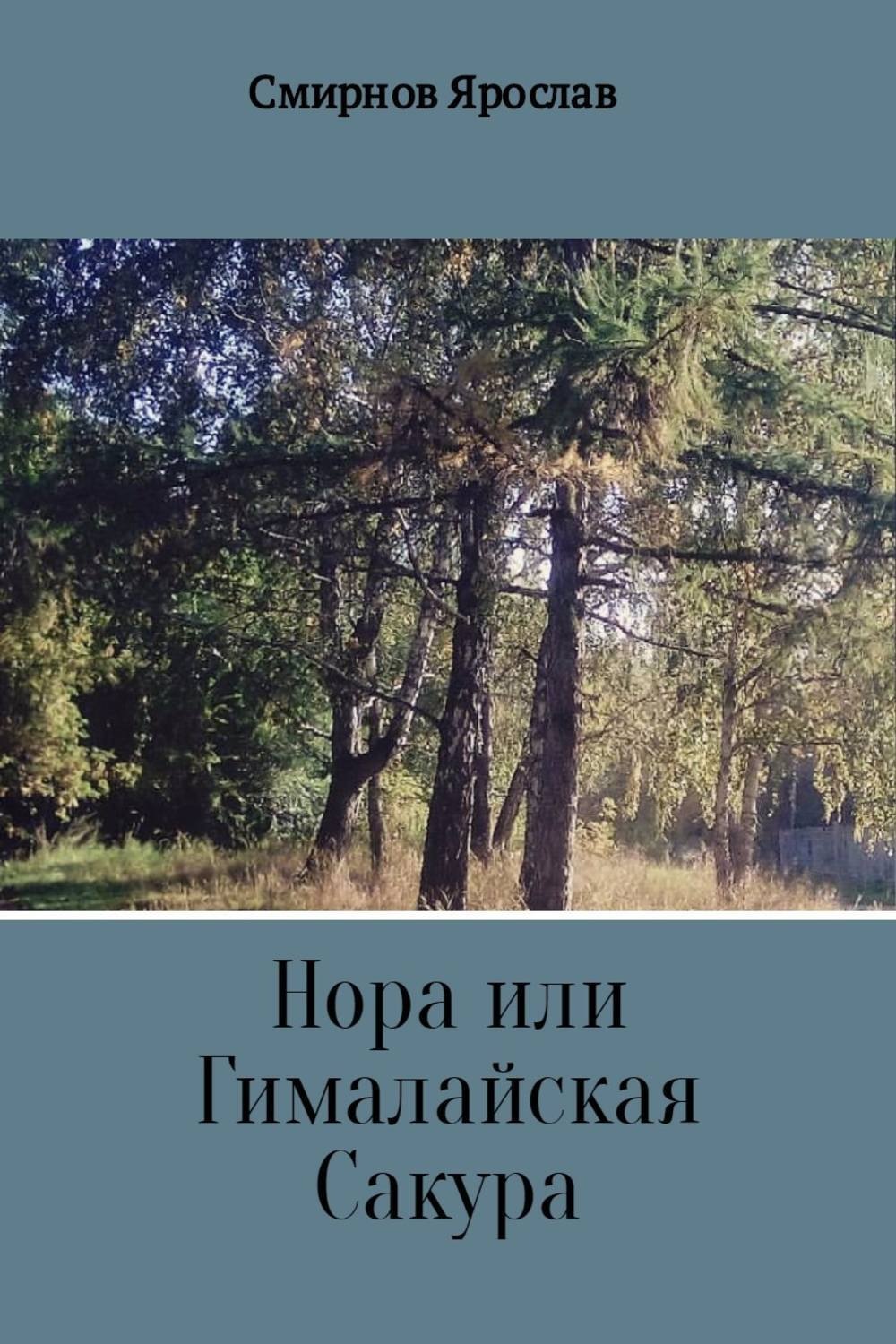 Обложка книги «Нора или Гималайская Сакура»