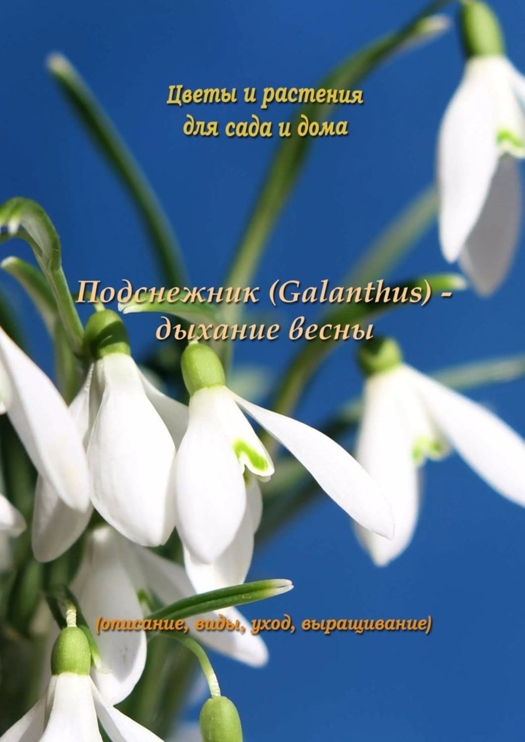 Обложка книги «Подснежник (Galanthus) – дыхание весны»