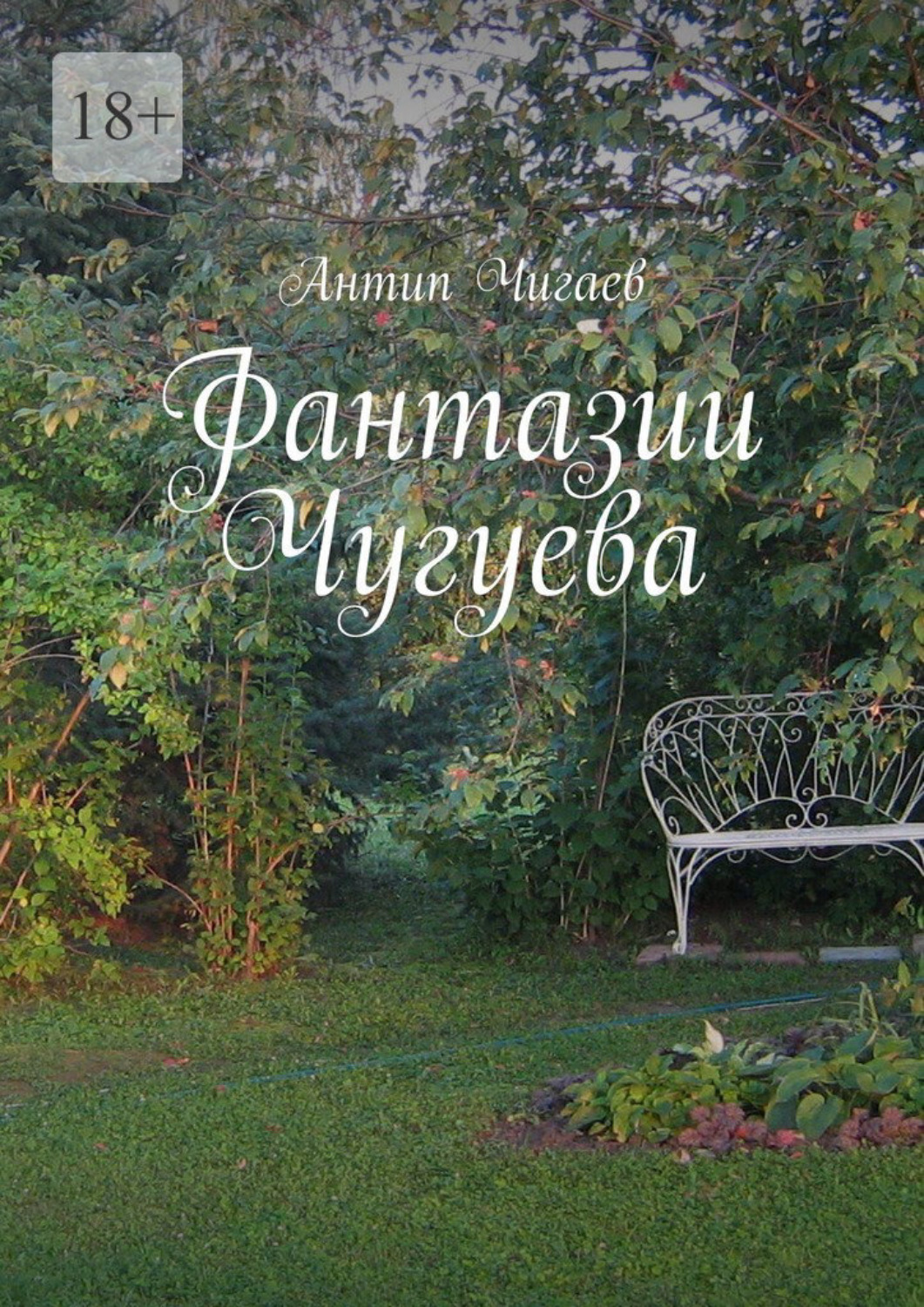 Обложка книги «Фантазии Чугуева»