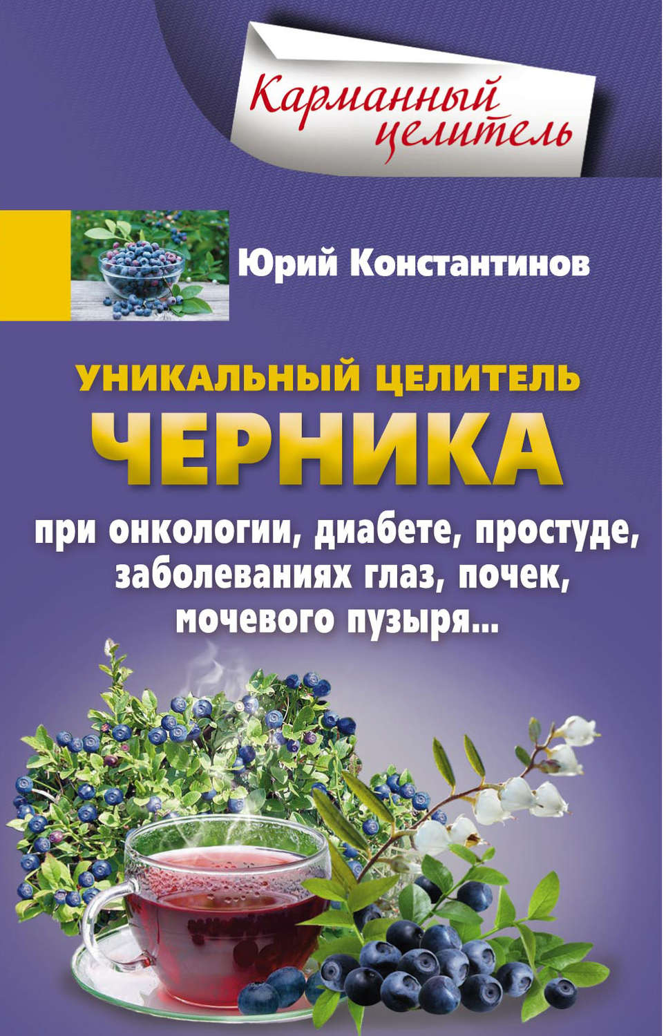 Обложка книги «Уникальный целитель черника. При онкологии, диабете, простуде, заболеваниях глаз, почек, мочевого пузыря…»