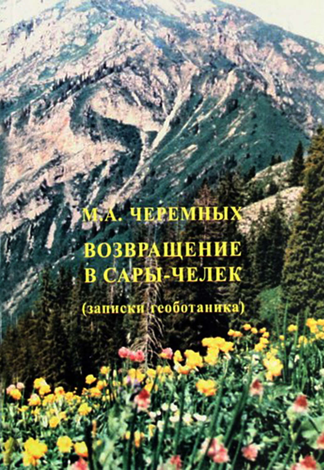 Обложка книги «Возвращение в Сары-Черек»
