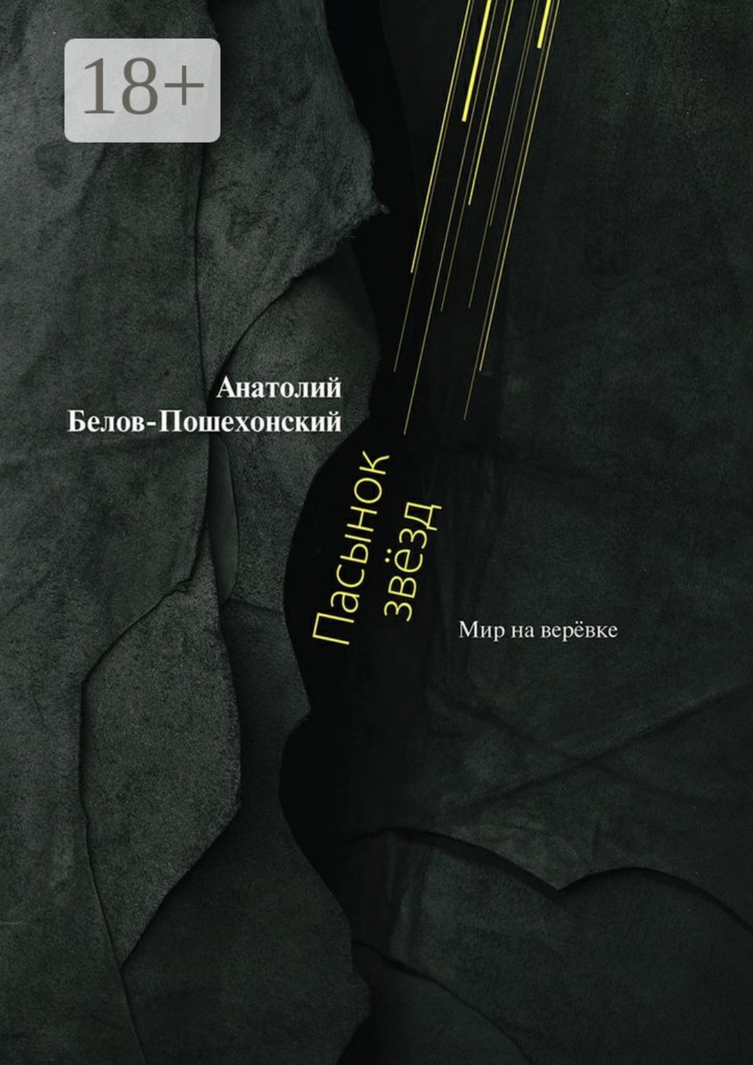 Обложка книги «Пасынок звёзд. Мир на верёвке»
