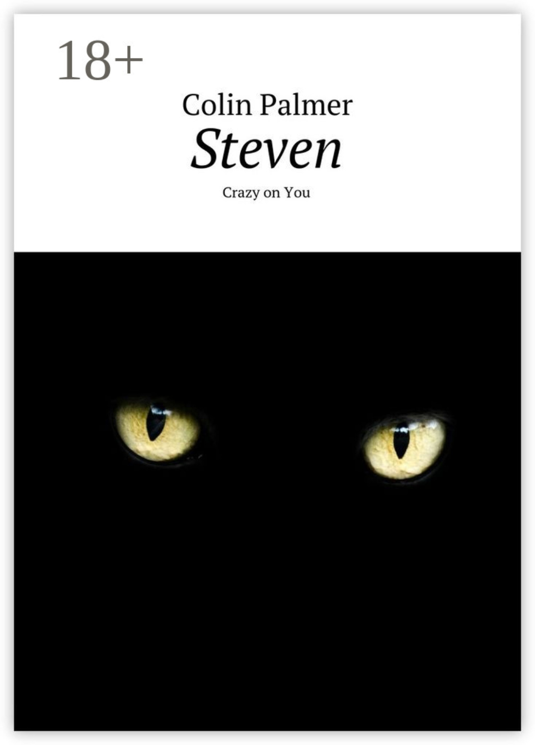 Обложка книги «Steven. Crazy on You»