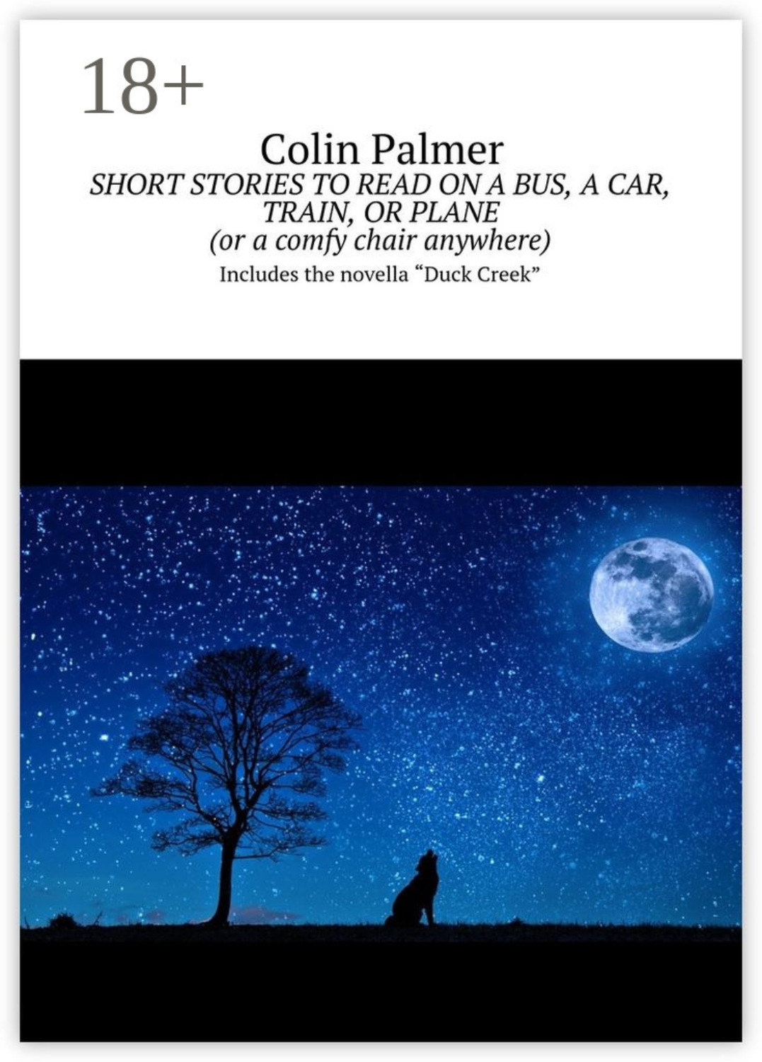 Обложка книги «Short stories to read on a bus, a car, train, or plane (or a comfy chair anywhere). Includes the novella «Duck Creek»»