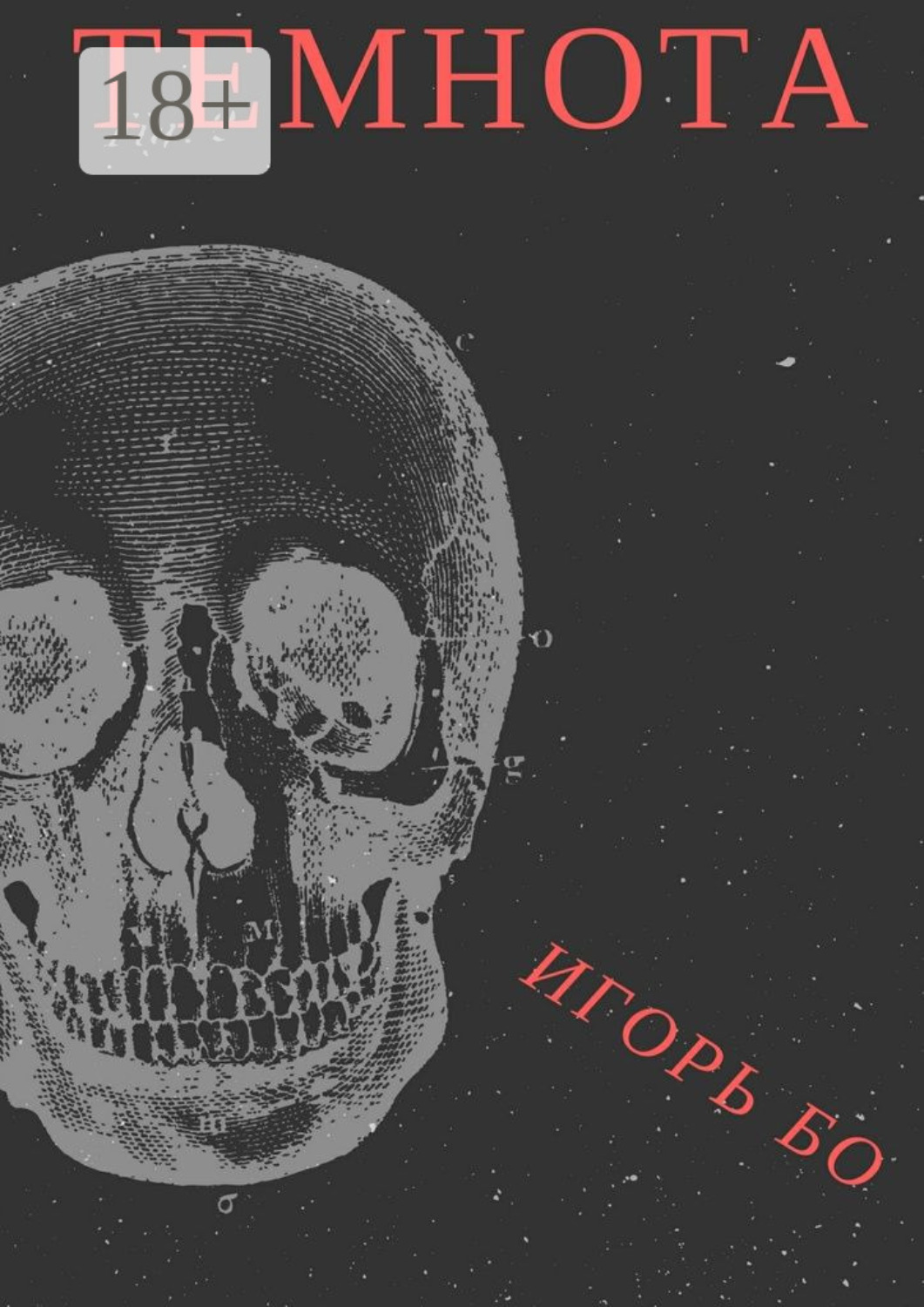 Обложка книги «Темнота. Страх №2»