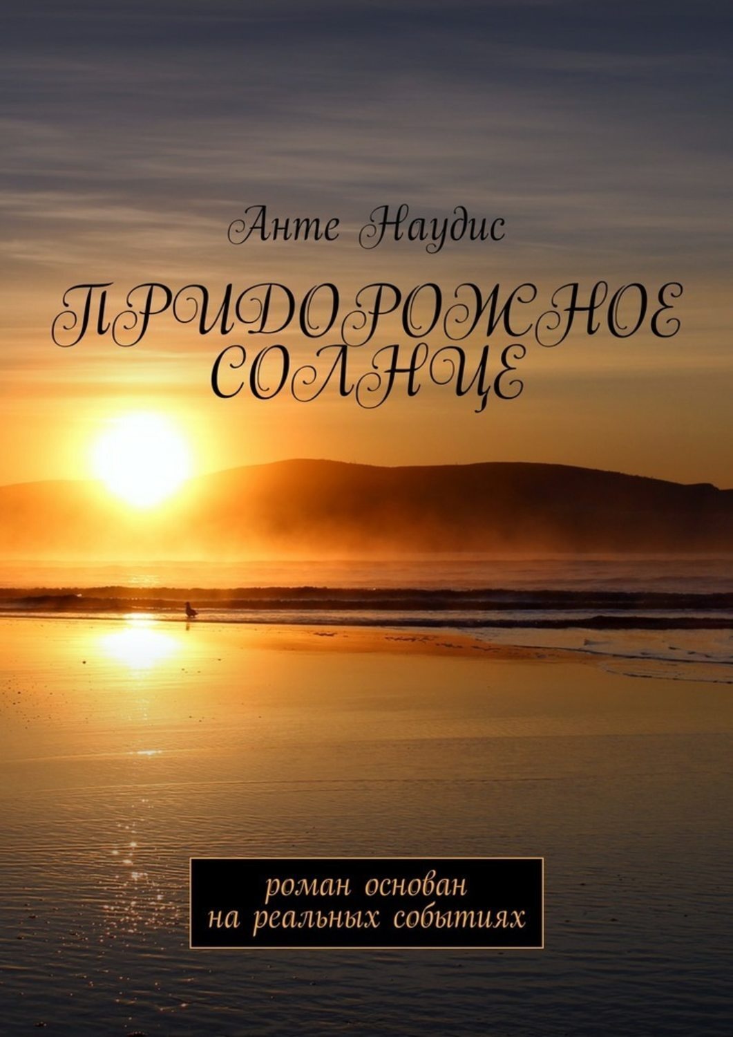 Обложка книги «Придорожное солнце. Роман основан на реальных событиях»