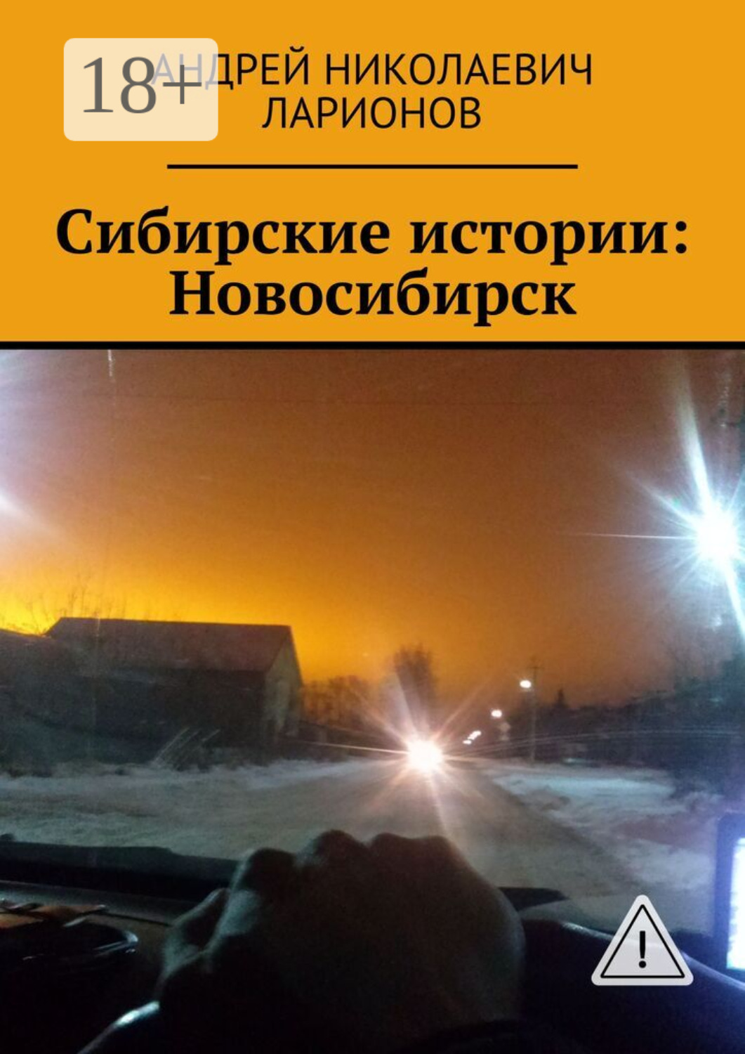 Обложка книги «Сибирские истории: Новосибирск»