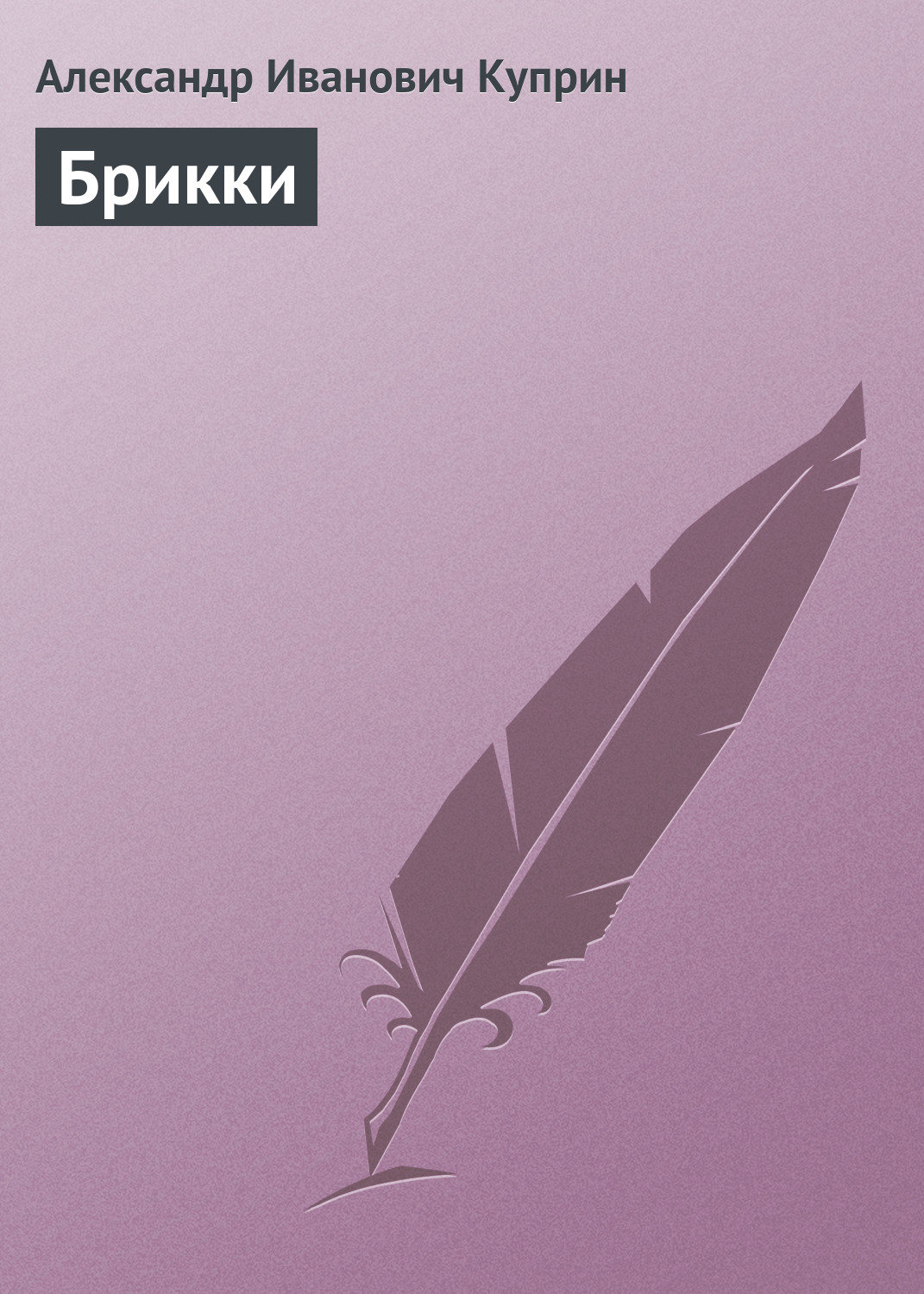Обложка книги «Брикки»