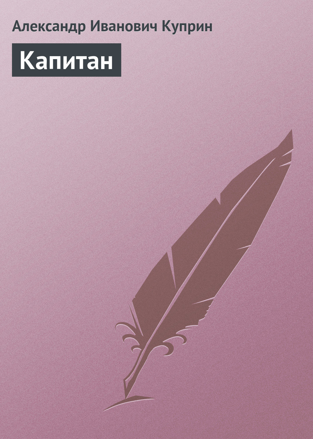 Обложка книги «Капитан»