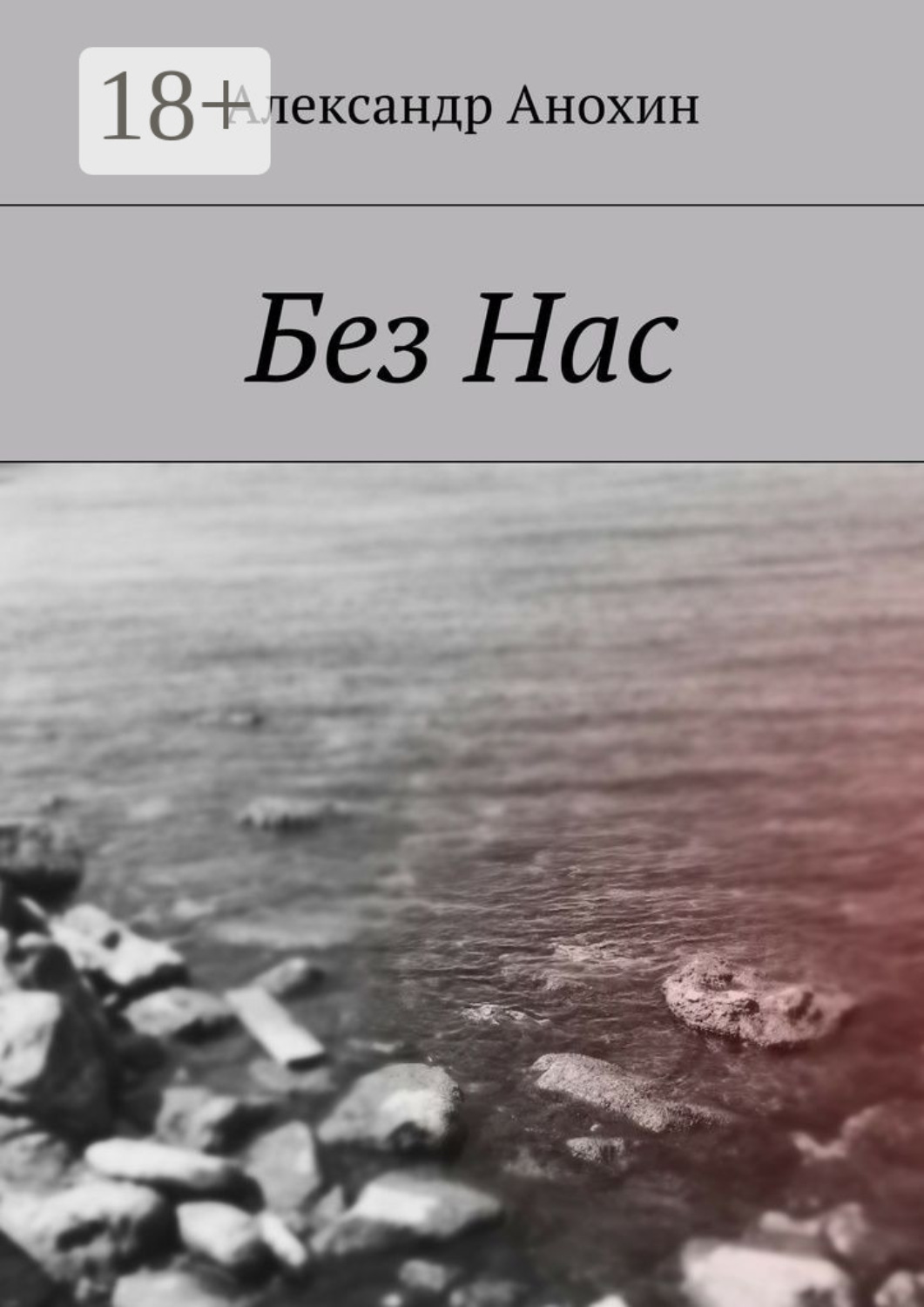 Обложка книги «Без Нас»