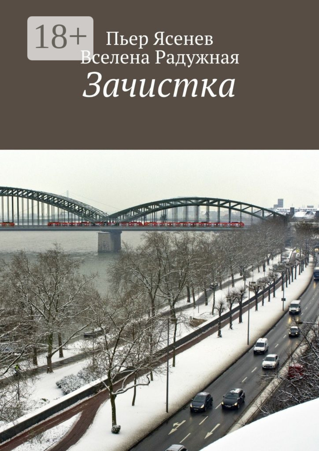 Обложка книги «Зачистка»