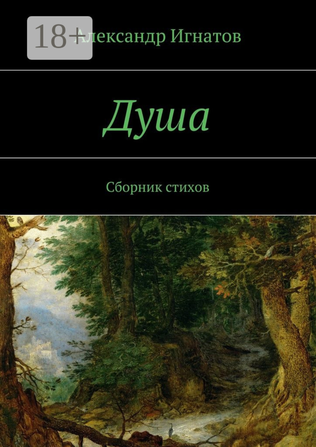 Обложка книги «Душа. Сборник стихов»