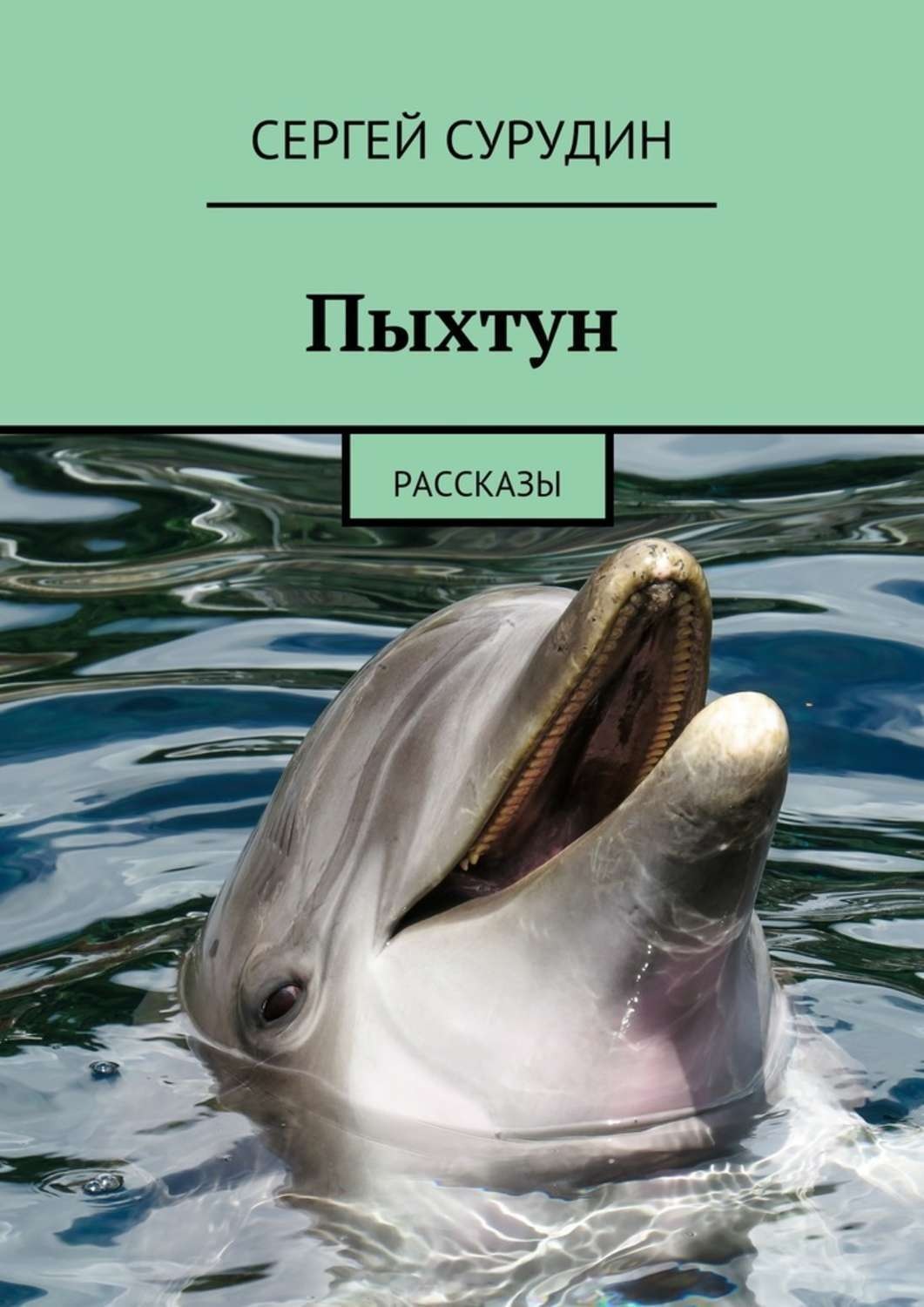 Обложка книги «Пыхтун. Рассказы»