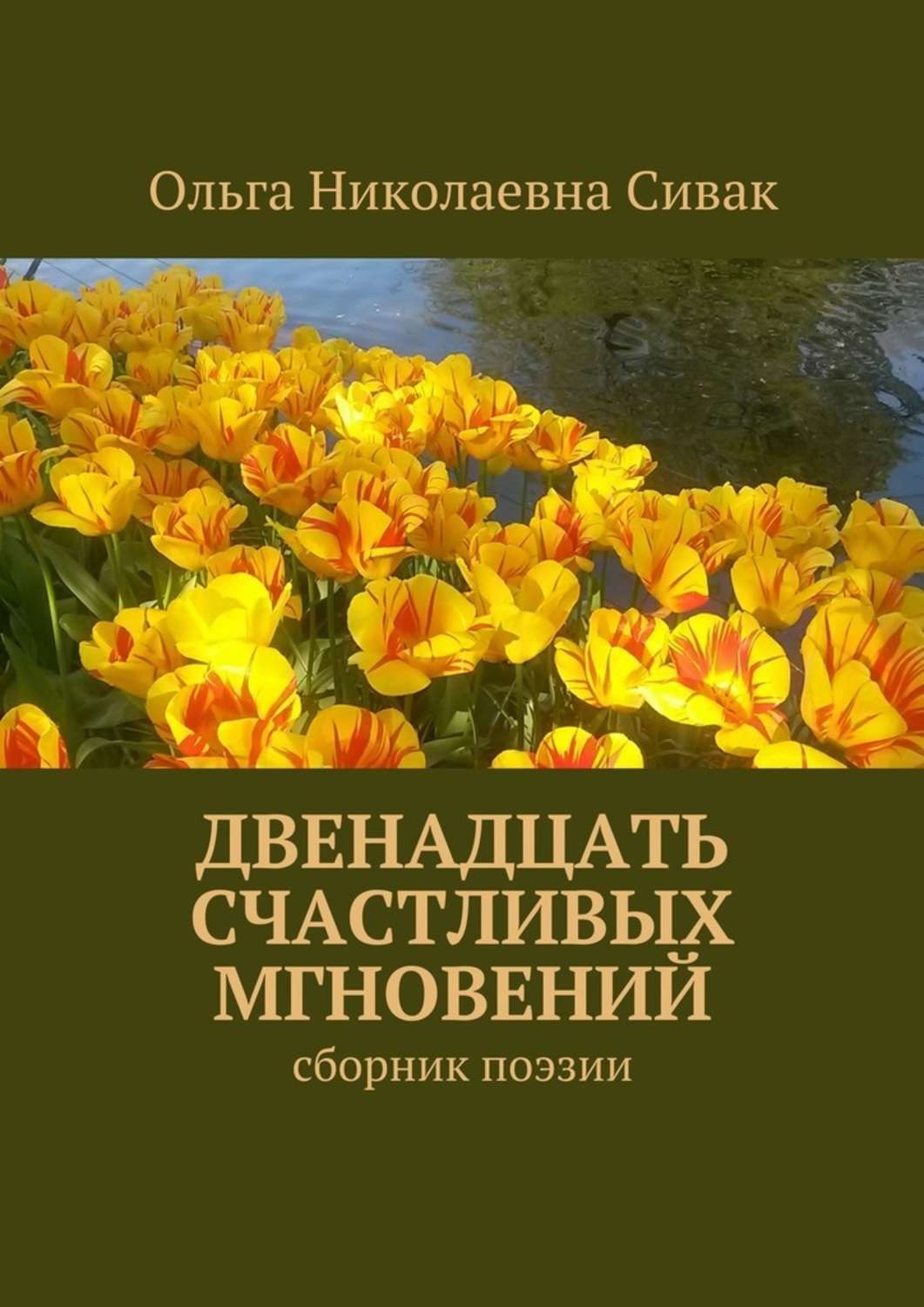 Обложка книги «Двенадцать счастливых мгновений. Сборник поэзии»
