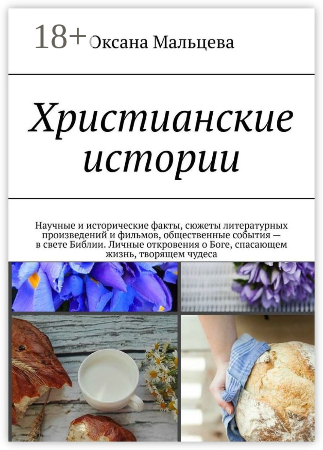 Обложка книги «Христианские истории. Научные и исторические факты, сюжеты литературных произведений и фильмов, общественные события – в свете Библии. Личные откровения о Боге, спасающем жизнь, творящем чудеса»