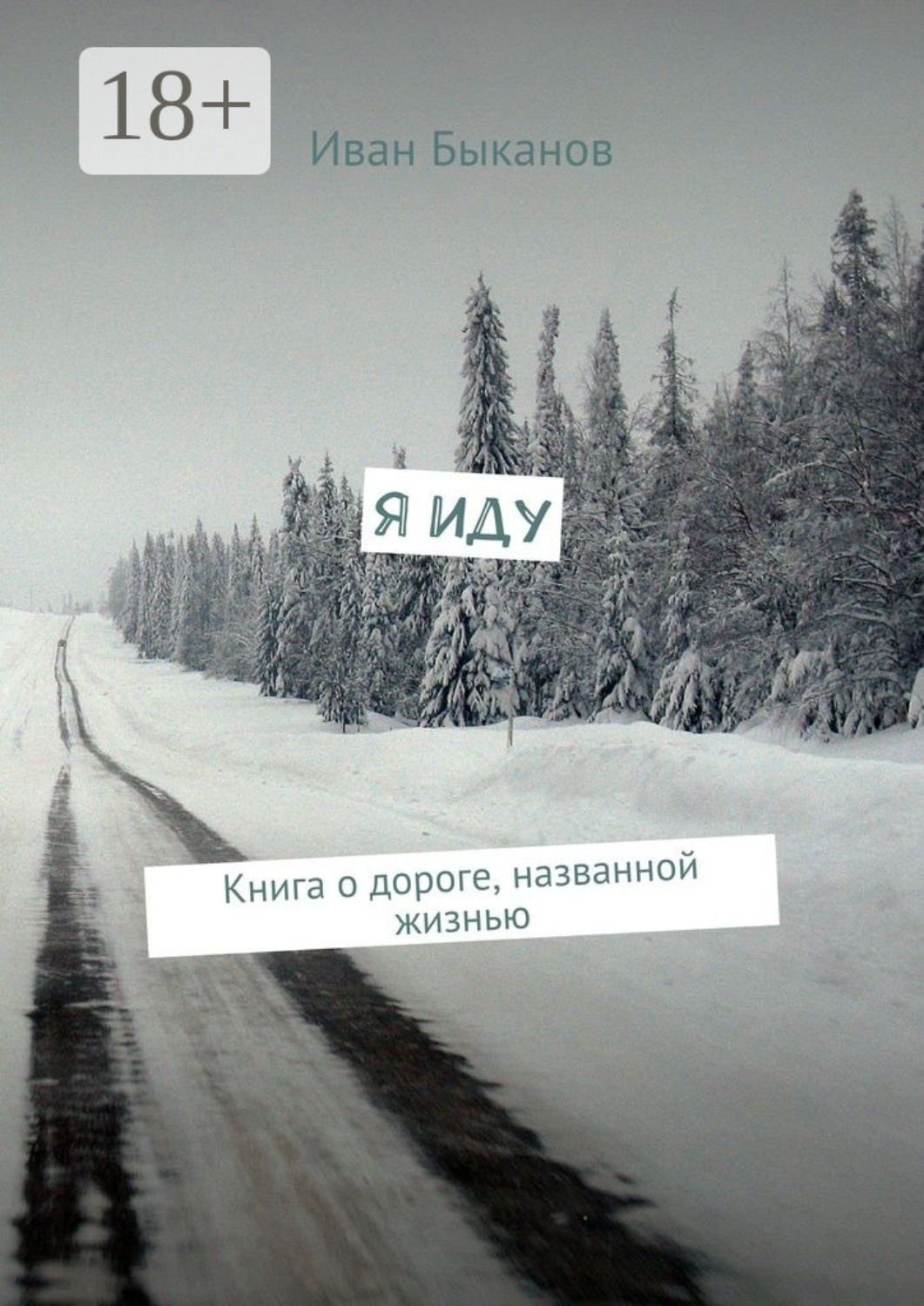 Обложка книги «Я иду. Книга о дороге, названной жизнью»