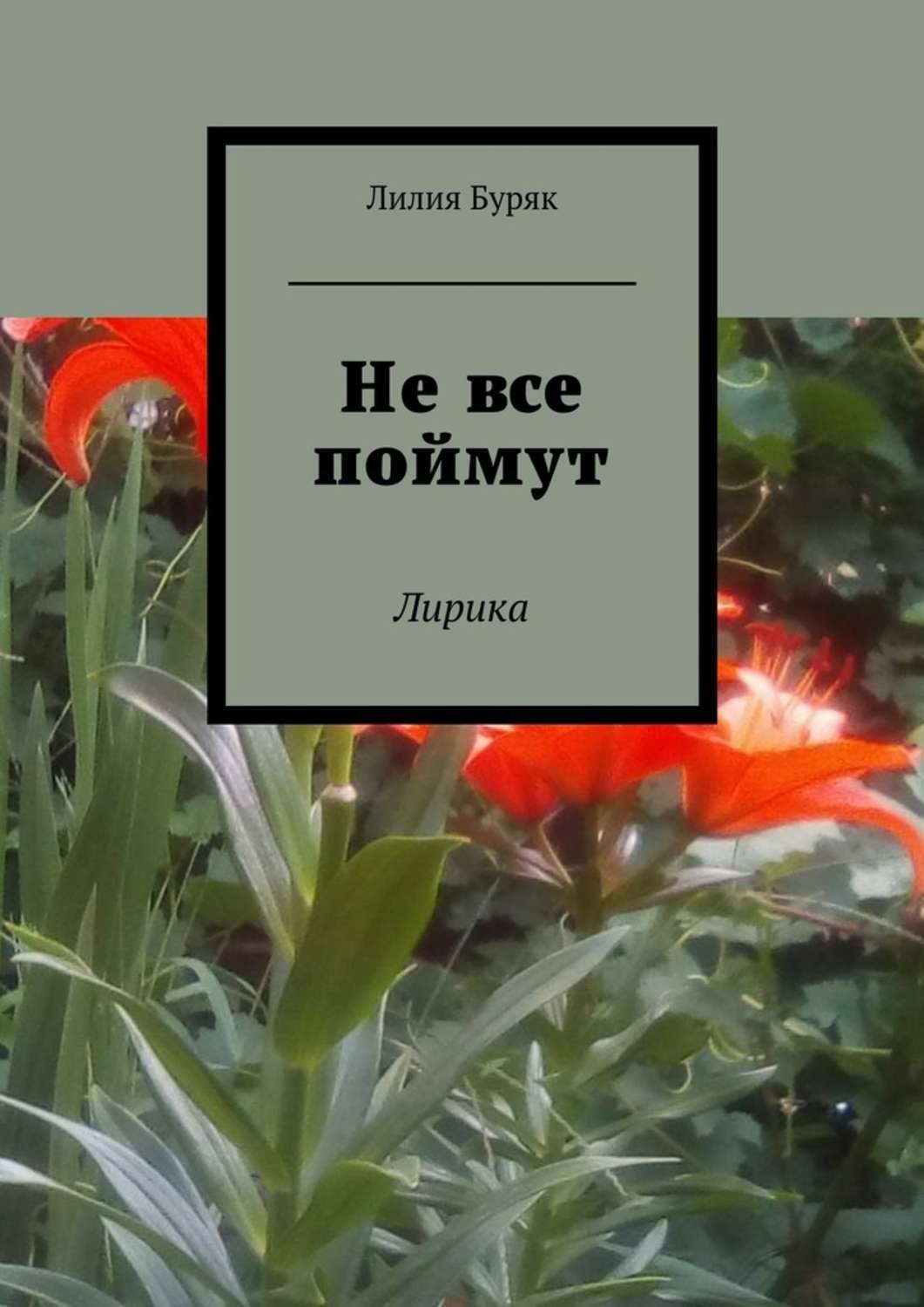 Обложка книги «Не все поймут. Лирика»