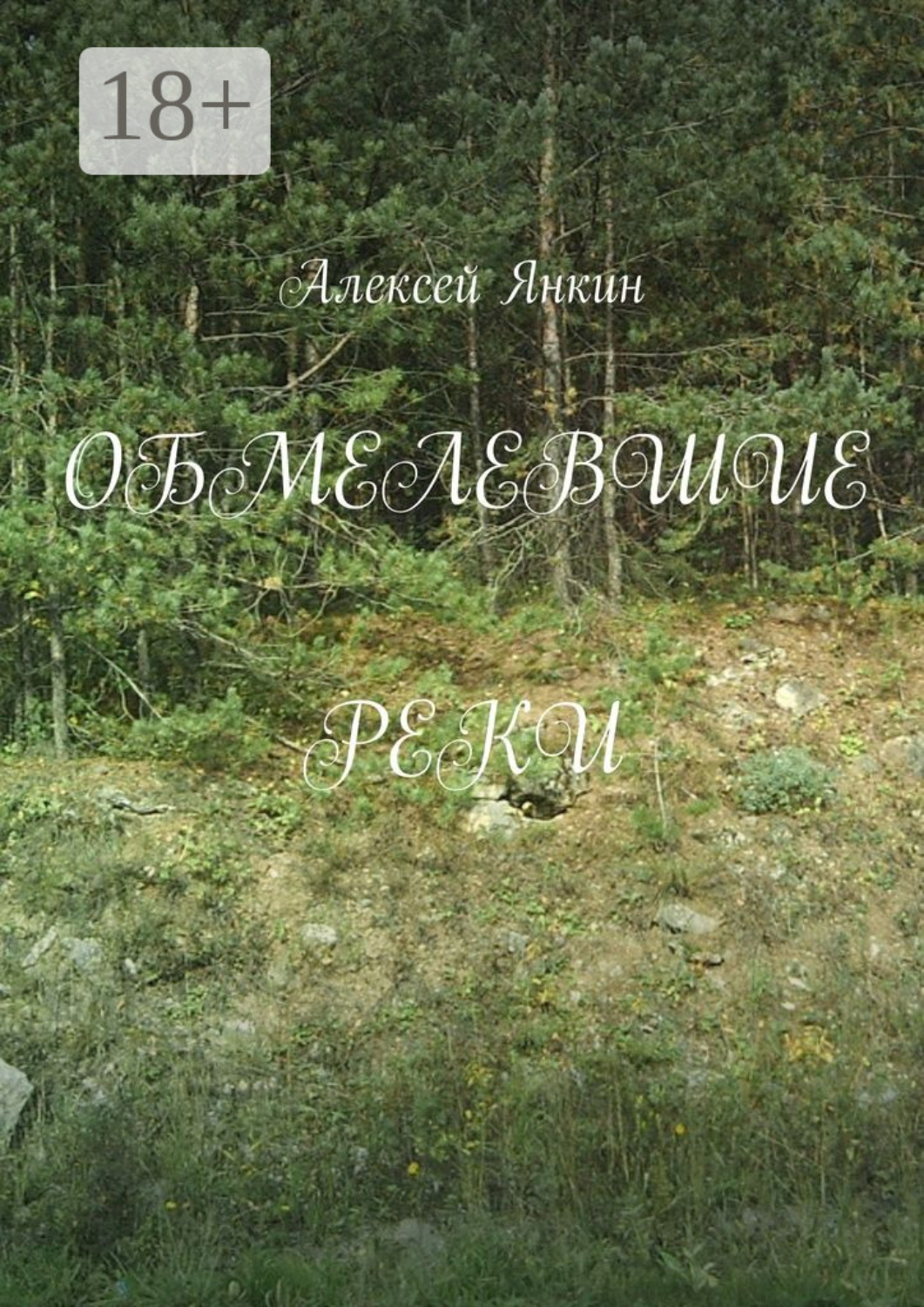 Обложка книги «Обмелевшие реки»