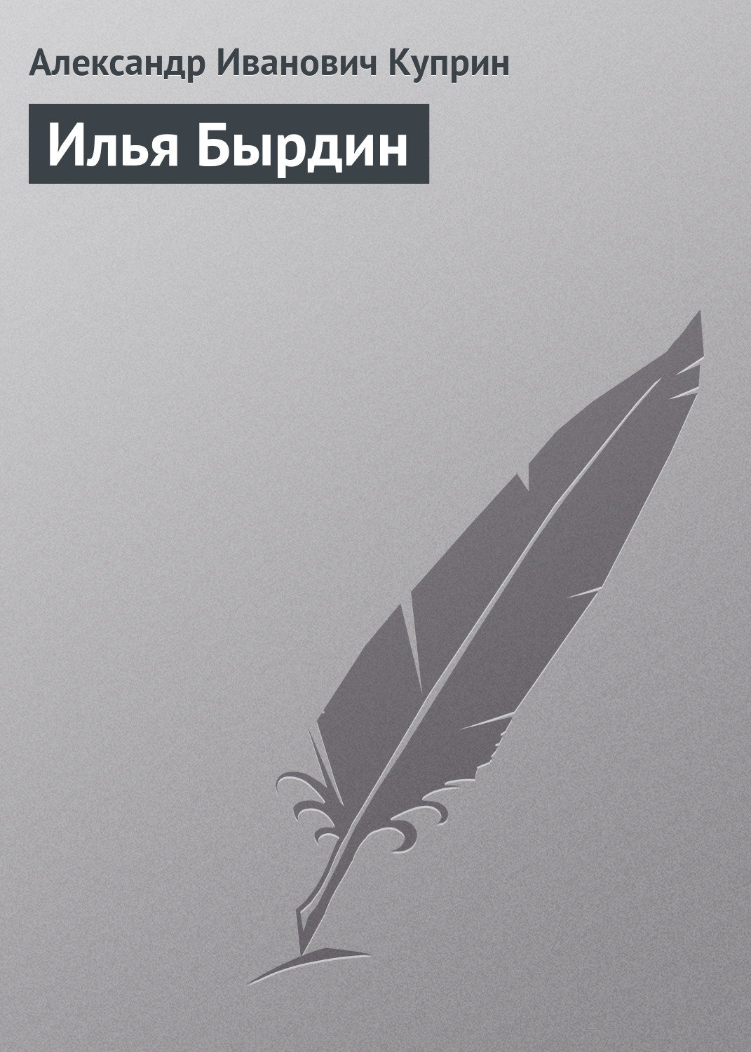 Обложка книги «Илья Бырдин»