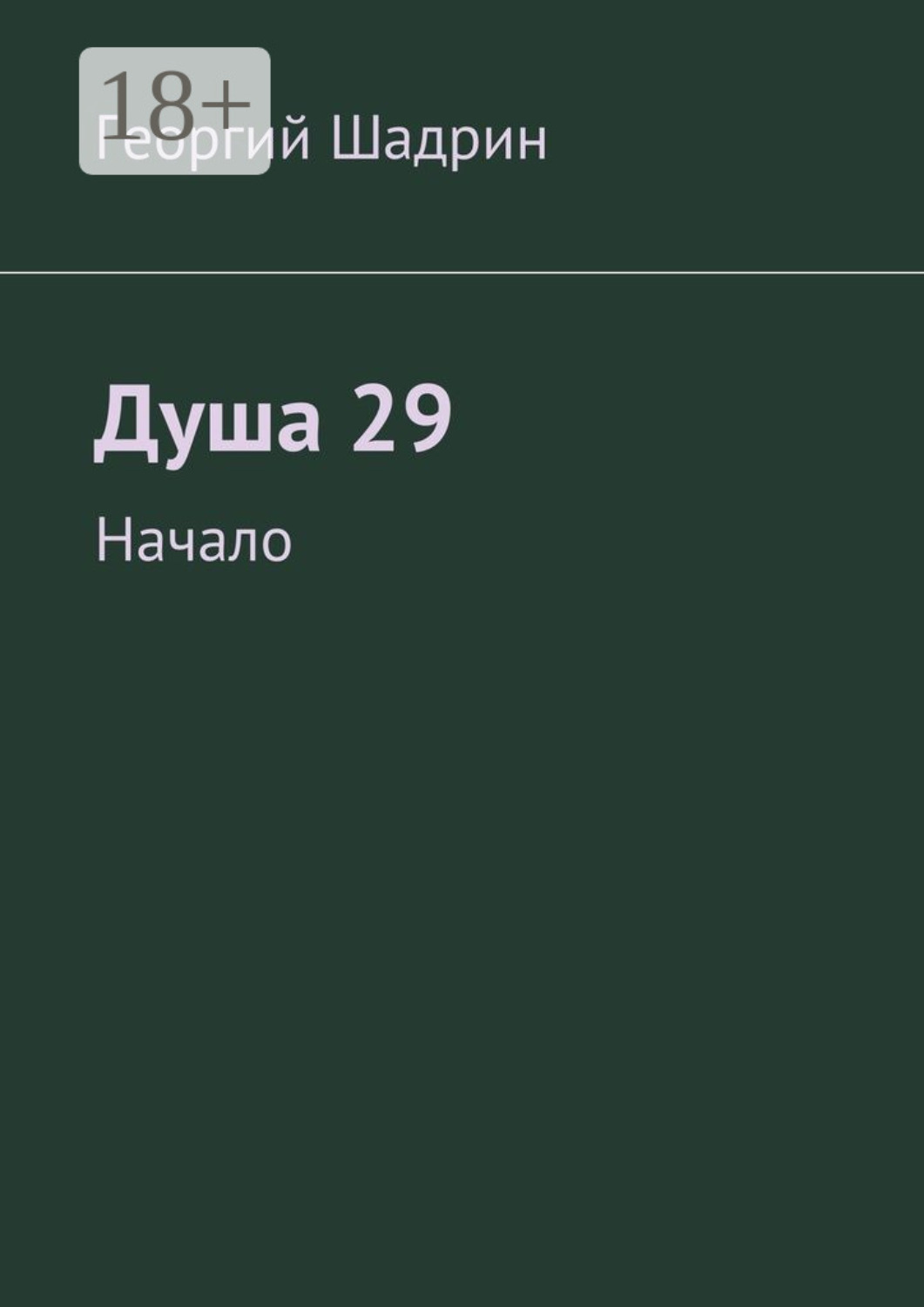 Обложка книги «Душа 29. Начало»