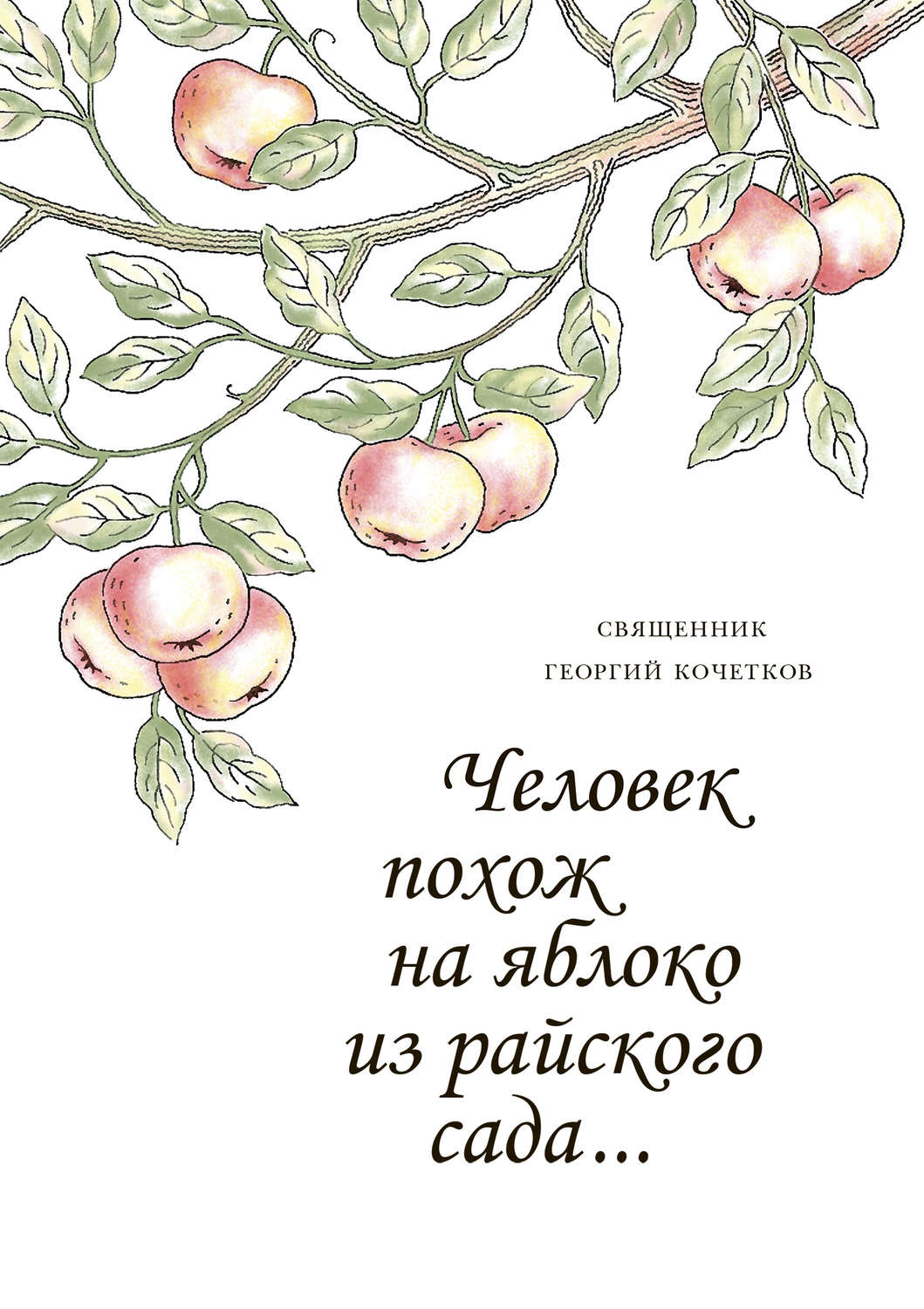 Обложка книги «Человек похож на яблоко из райского сада…»