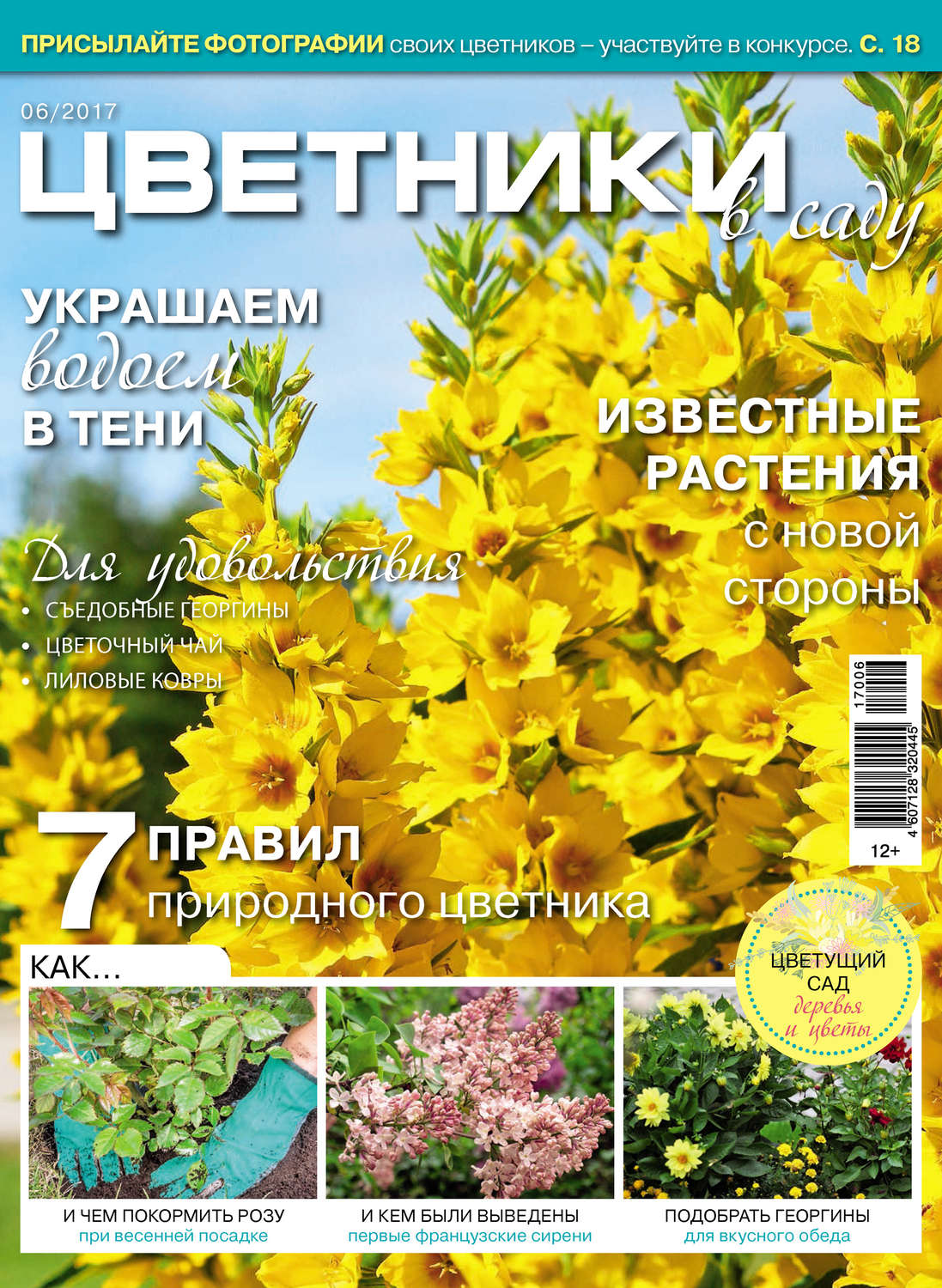 Обложка книги «Цветники в саду №06/2017»