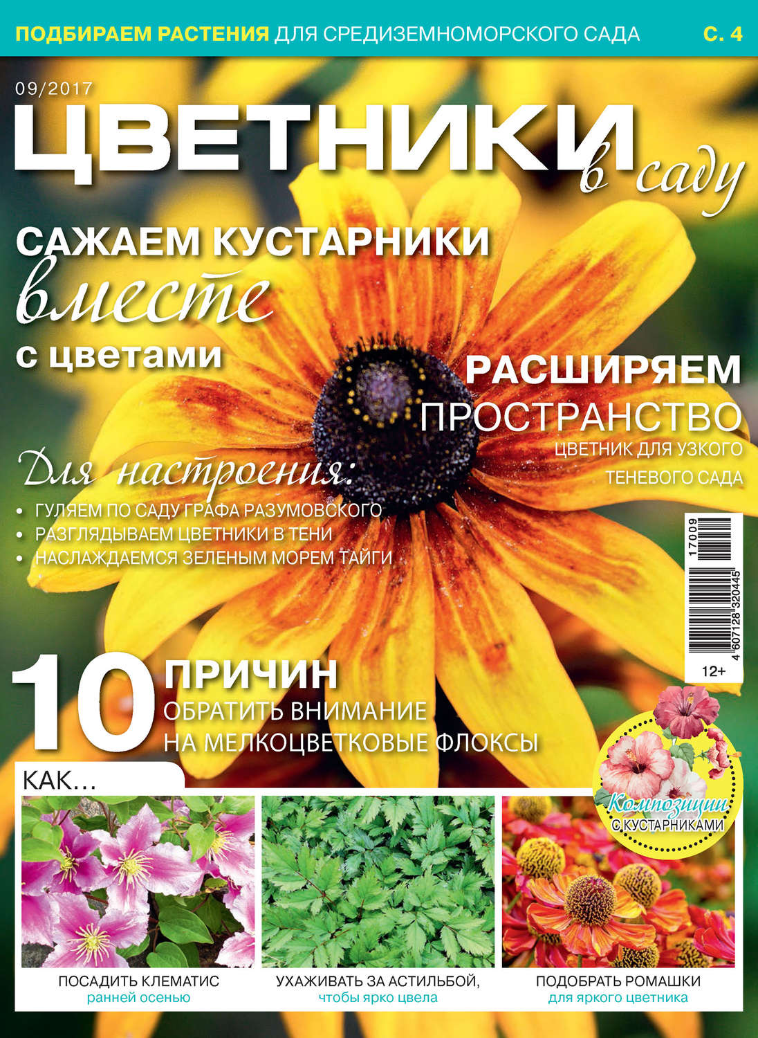 Обложка книги «Цветники в саду №09/2017»