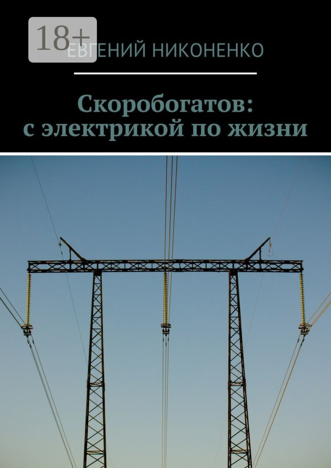 Обложка книги «Скоробогатов: с электрикой по жизни»