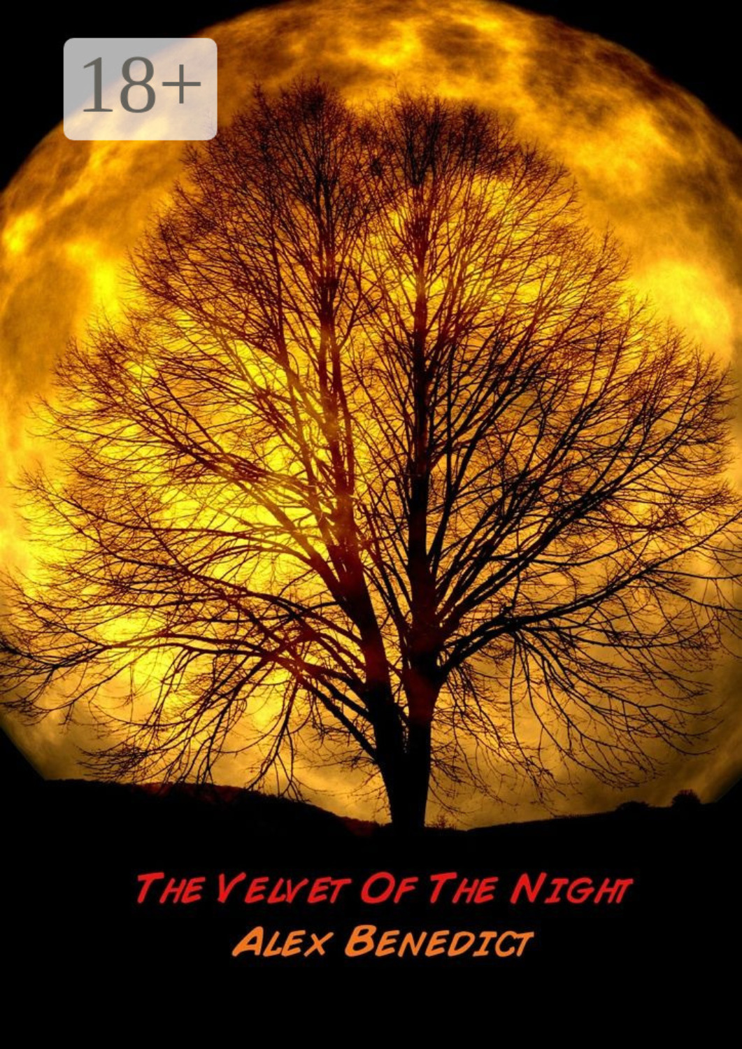 Обложка книги «The Velvet Of The Night»