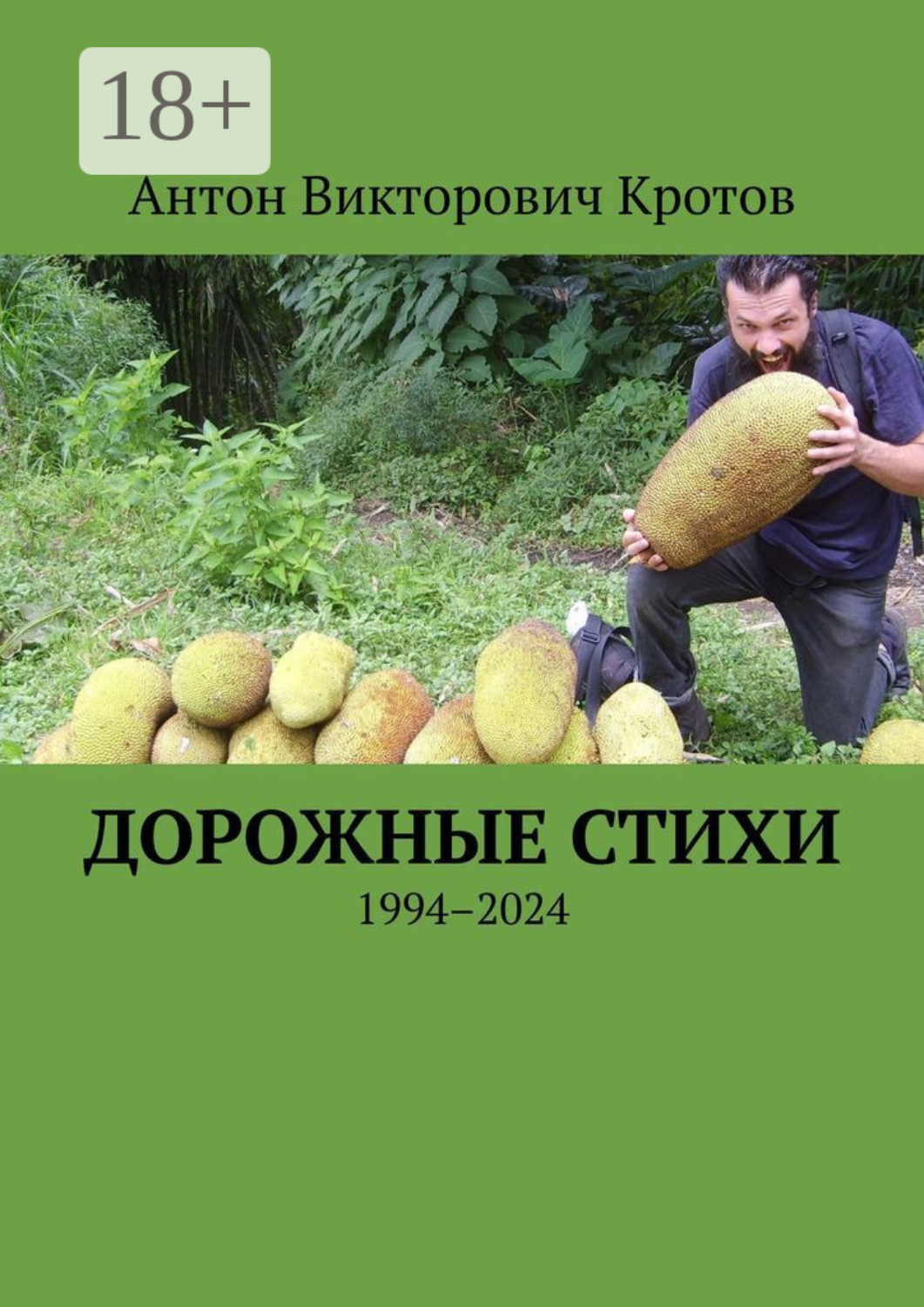 Обложка книги «Дорожные стихи. 1994–2024»