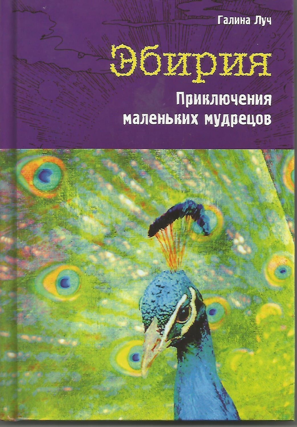 Обложка книги «Эбирия. Приключения маленьких мудрецов»