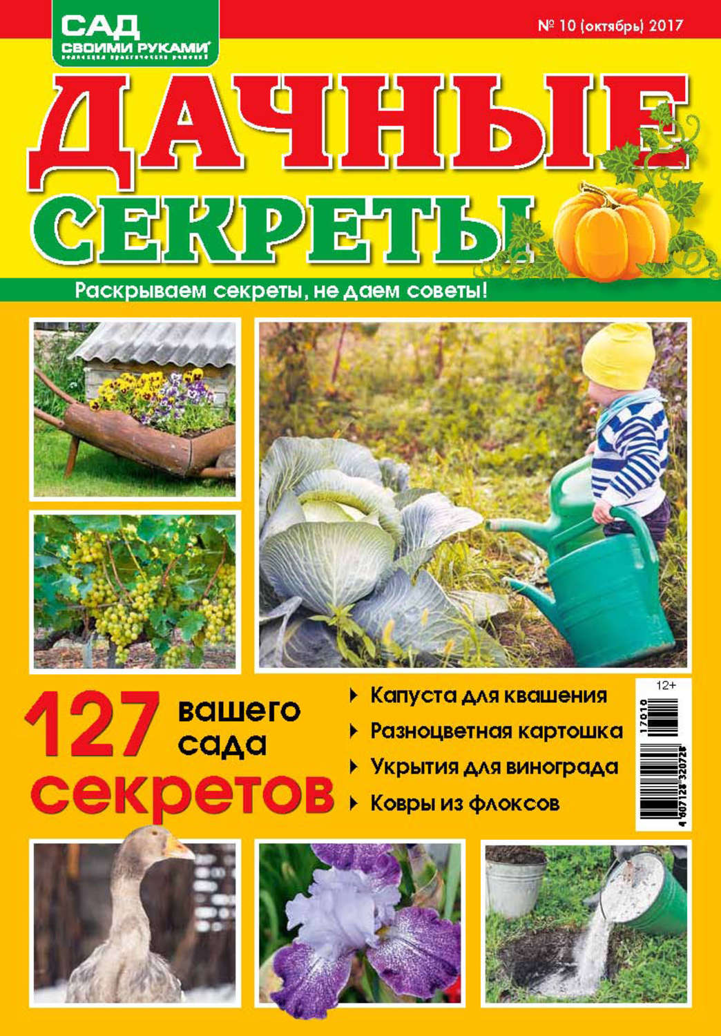 Обложка книги «Сад своими руками. Дачные секреты №10/2017»