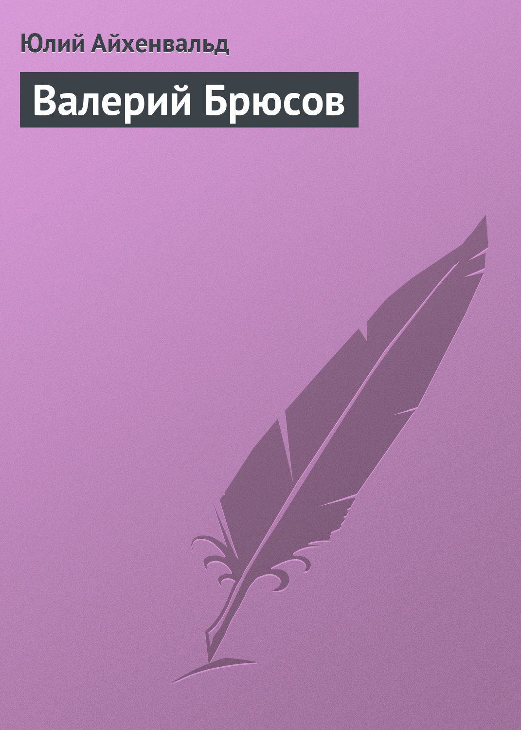 Обложка книги «Валерий Брюсов»