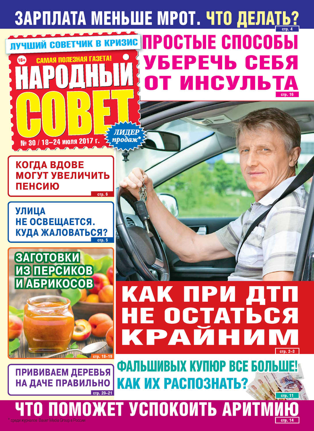 Обложка книги «Народный совет №30/2017»