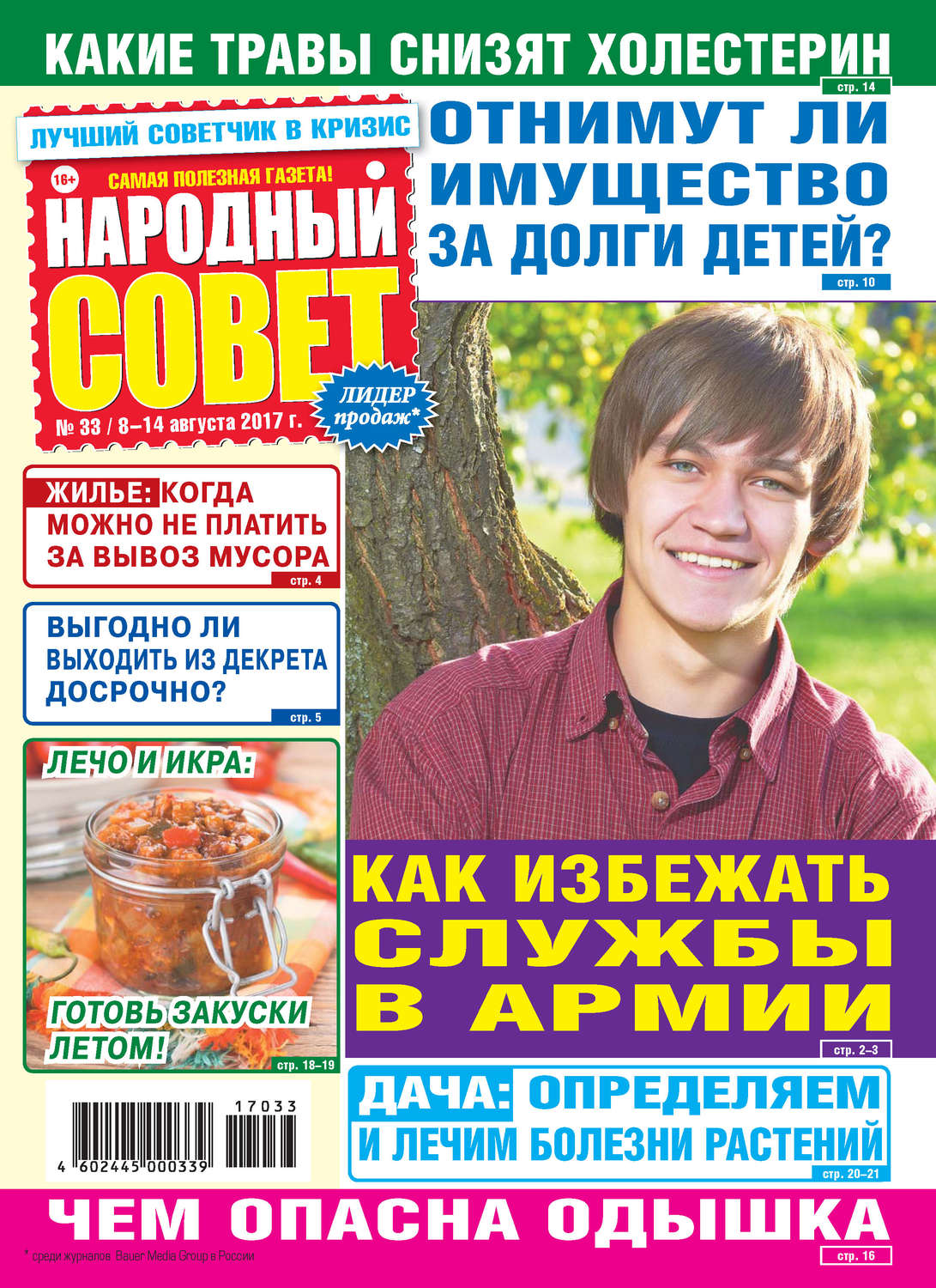 Обложка книги «Народный совет №33/2017»