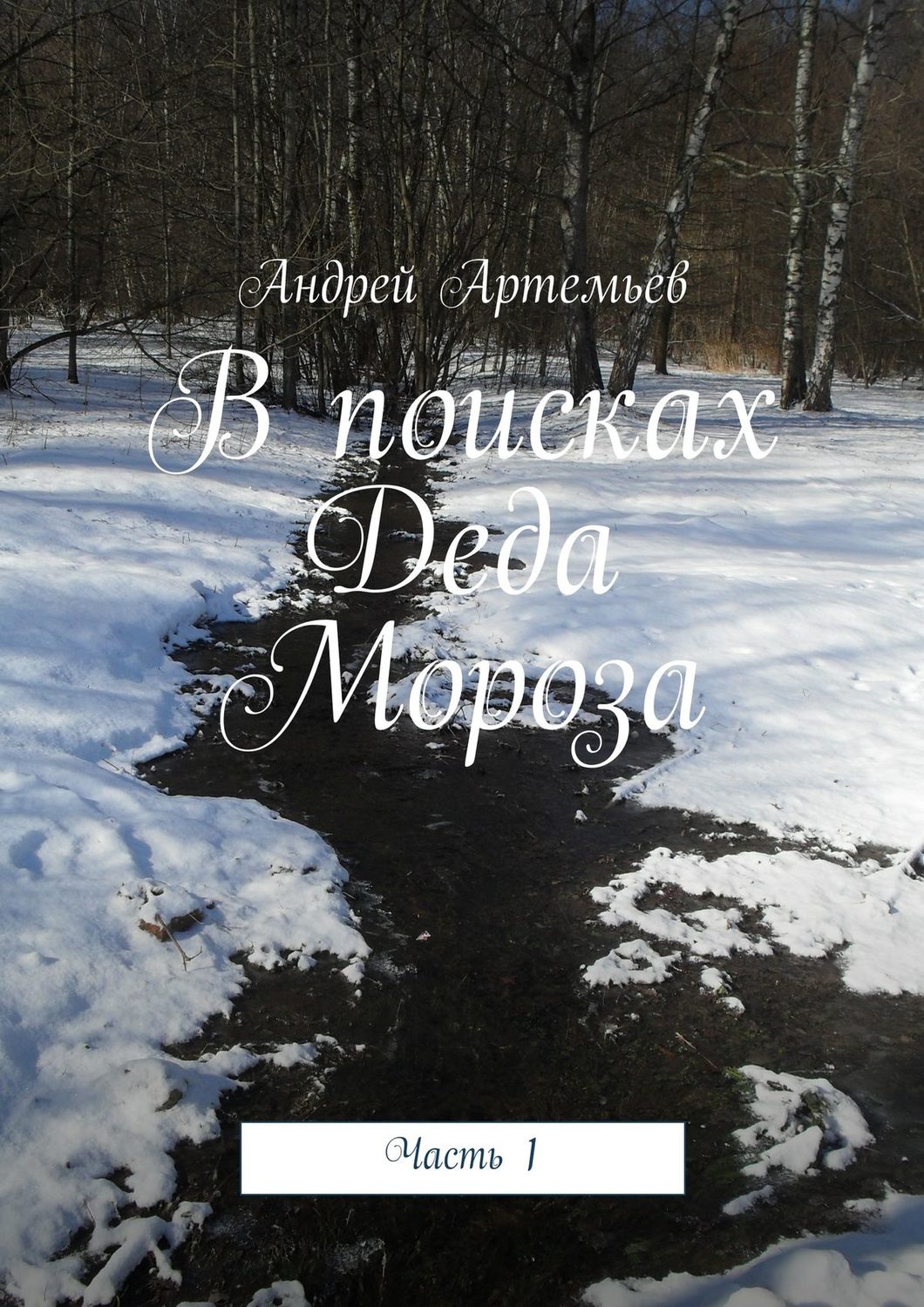 Обложка книги «В поисках Деда Мороза. Часть 1»