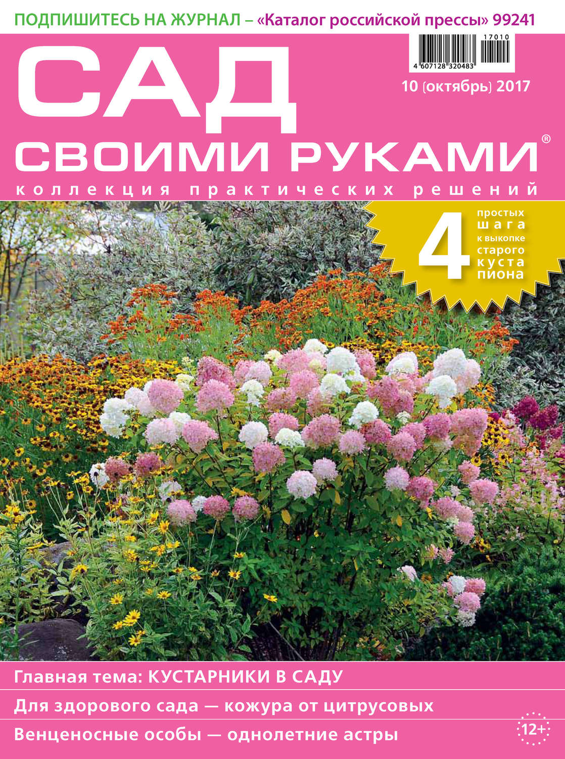 Обложка книги «Сад своими руками №10/2017»