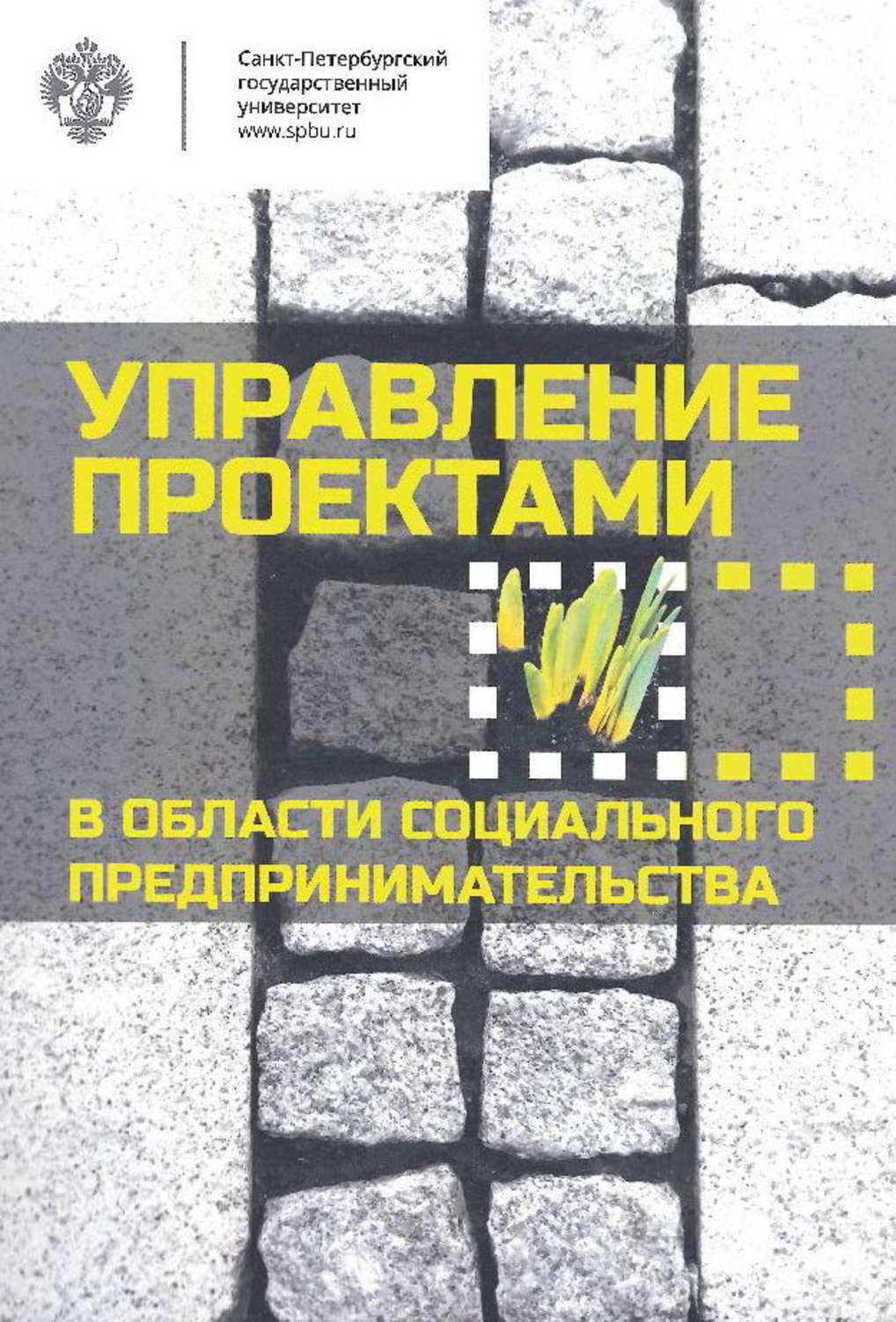 Обложка книги «Управление проектами в области социального предпринимательства»