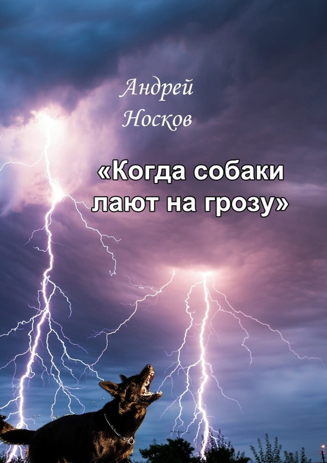 Обложка книги «Когда собаки лают на грозу. Тонкие детали должны быть замечены»