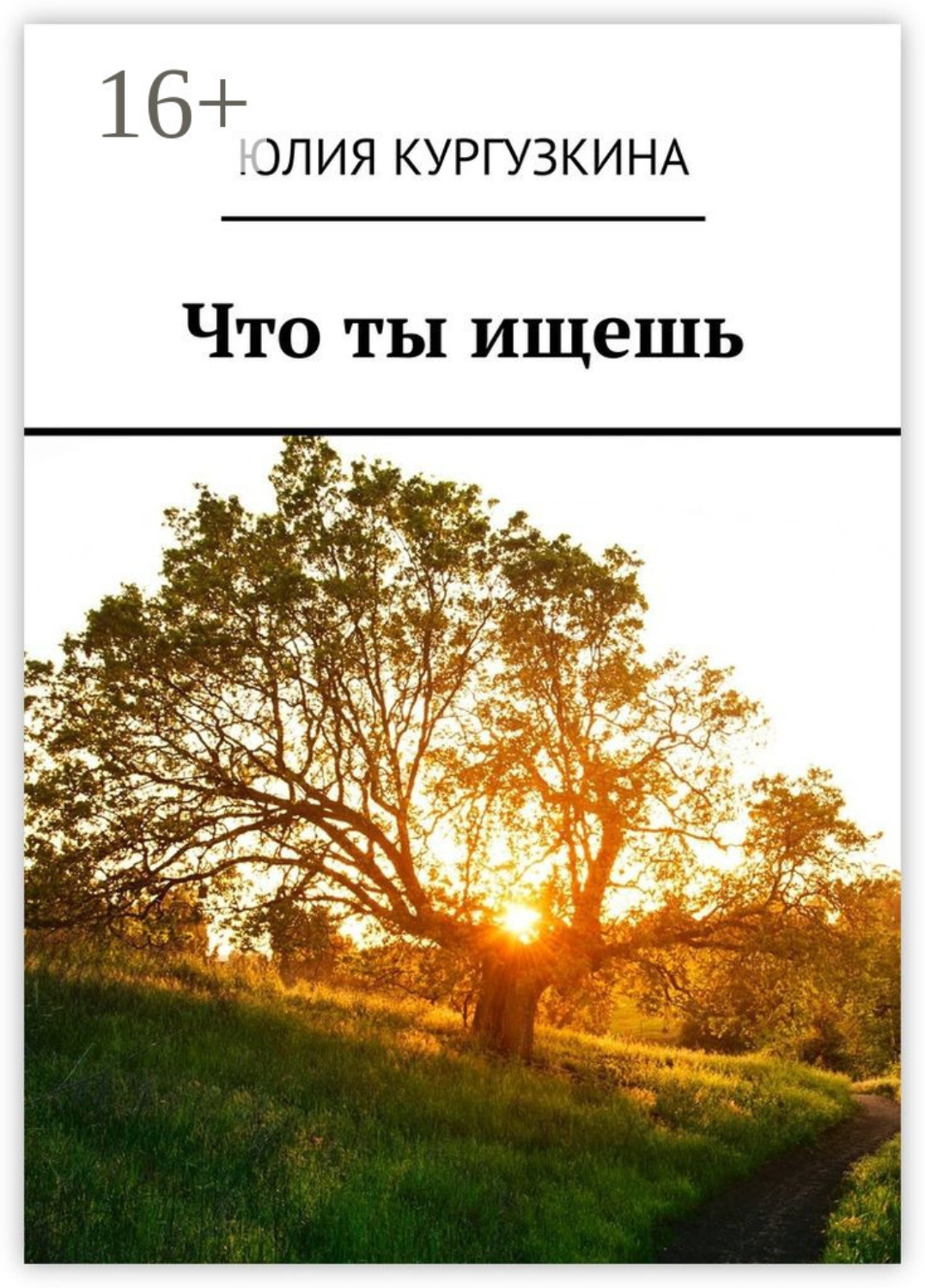Обложка книги «Что ты ищешь»