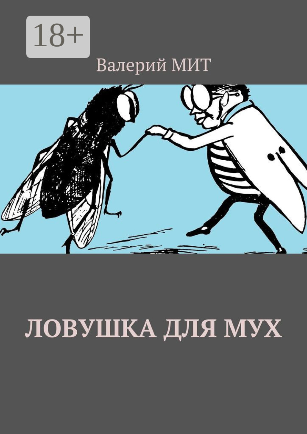 Обложка книги «Ловушка для мух»