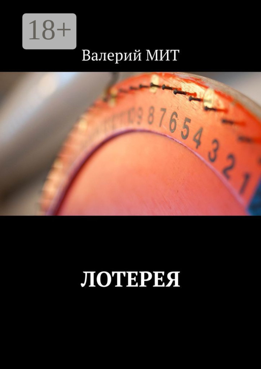 Обложка книги «Лотерея»