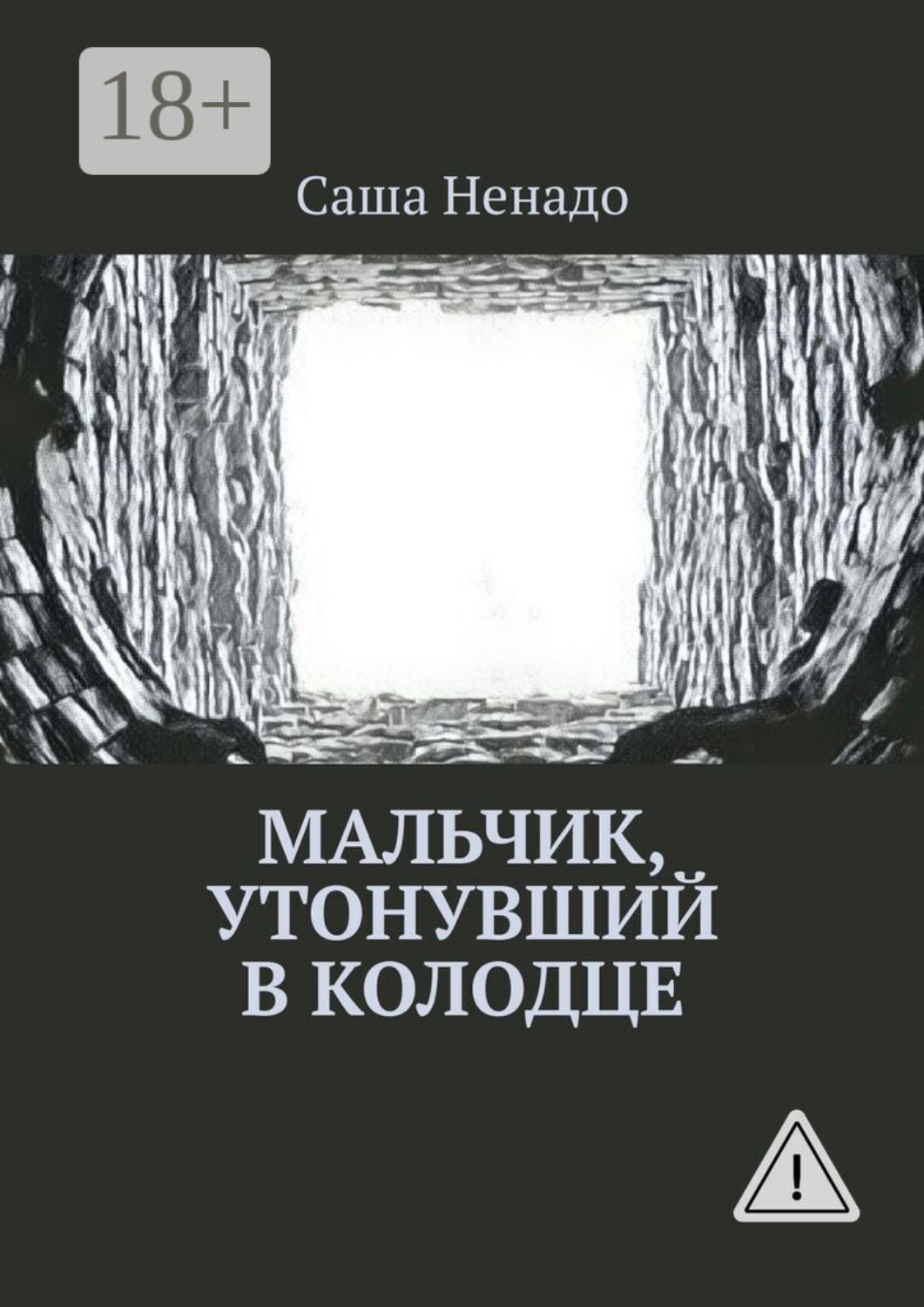 Обложка книги «Мальчик, утонувший в колодце»