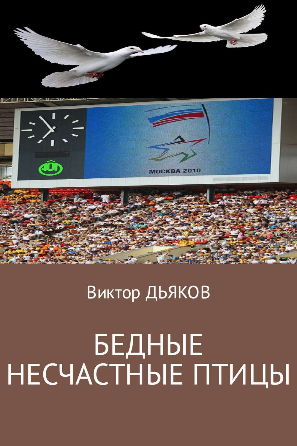 Обложка книги «Бедные несчастные птицы»