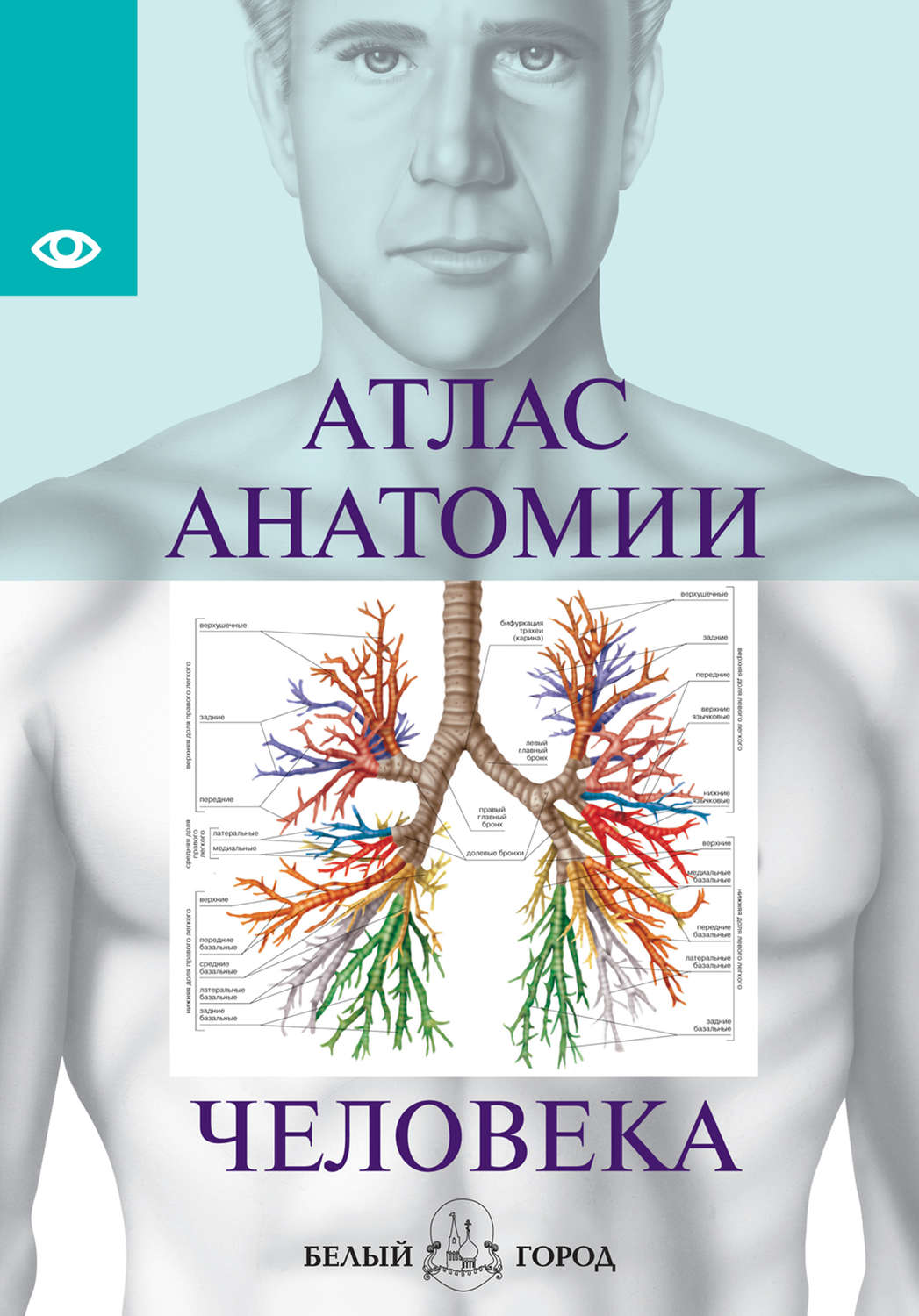 Обложка книги «Атлас анатомии человека. Все органы человеческого тела»