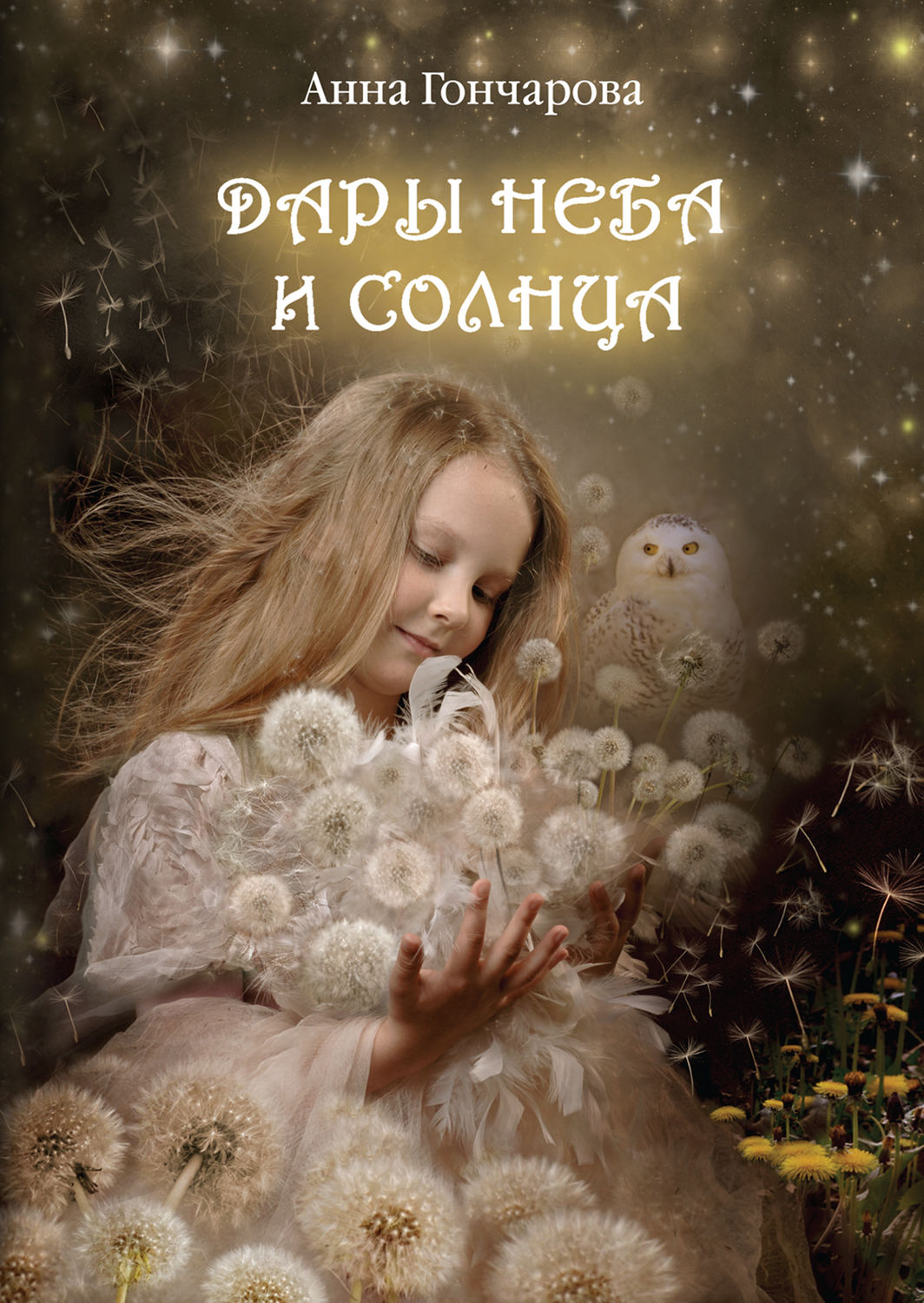 Обложка книги «Дары Неба и Солнца»