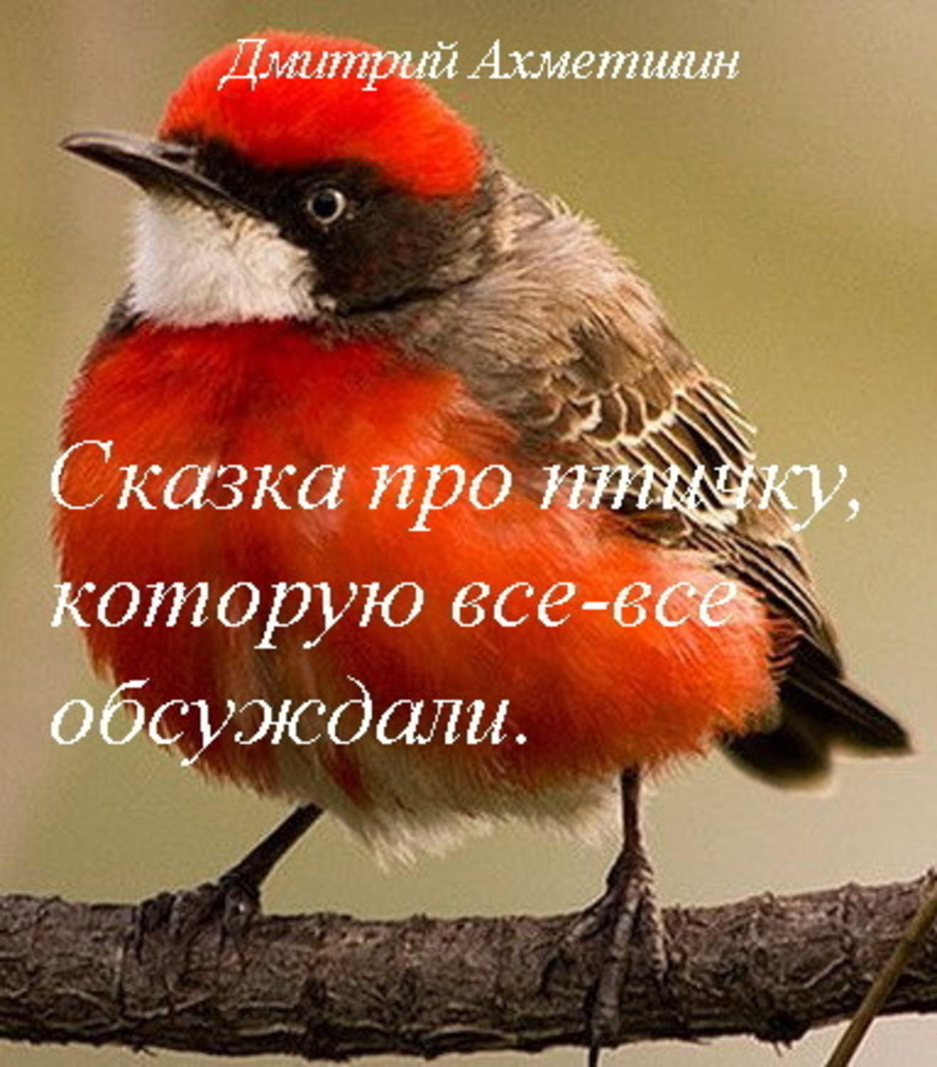 Обложка книги «Сказка про птичку, которую все-все обсуждали»