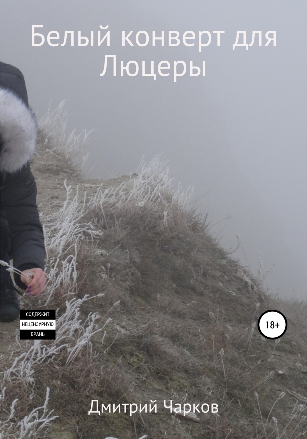 Обложка книги «Белый конверт для Люцеры»