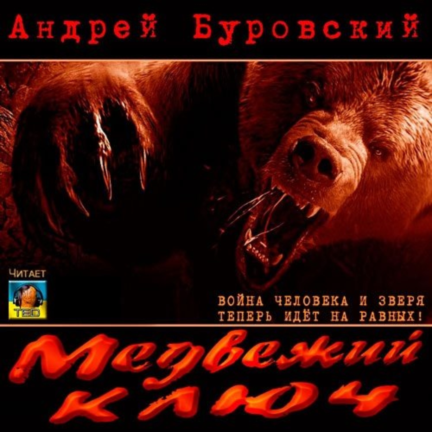 Обложка книги «Медвежий ключ»